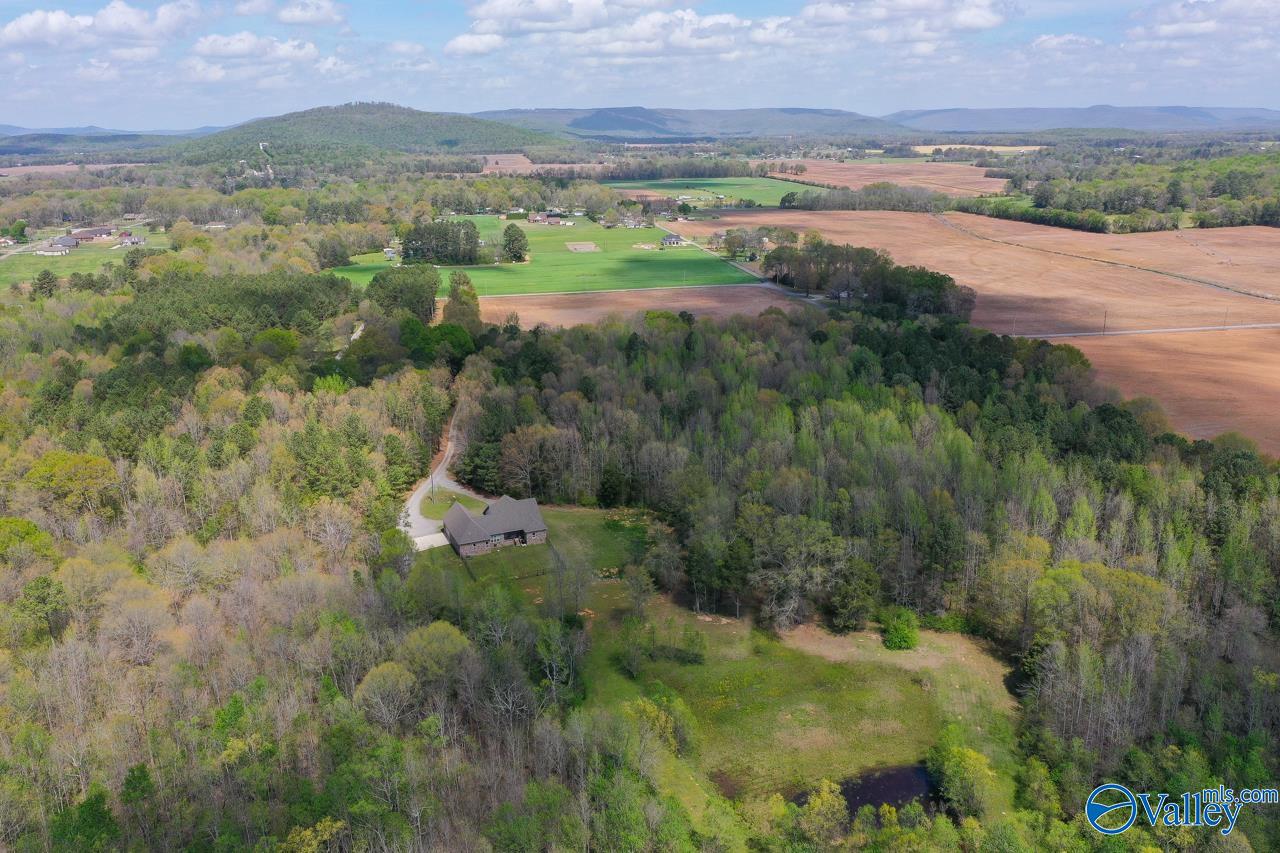 338 Paint Rock Road