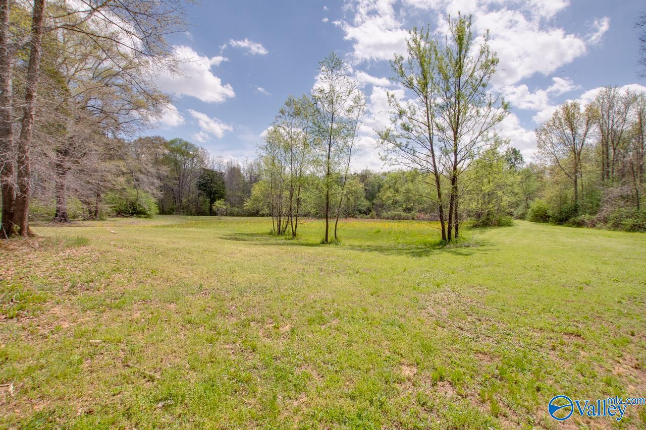 338 Paint Rock Road