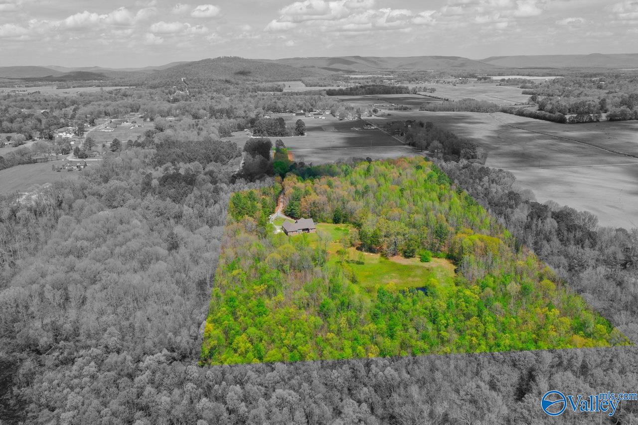 338 Paint Rock Road