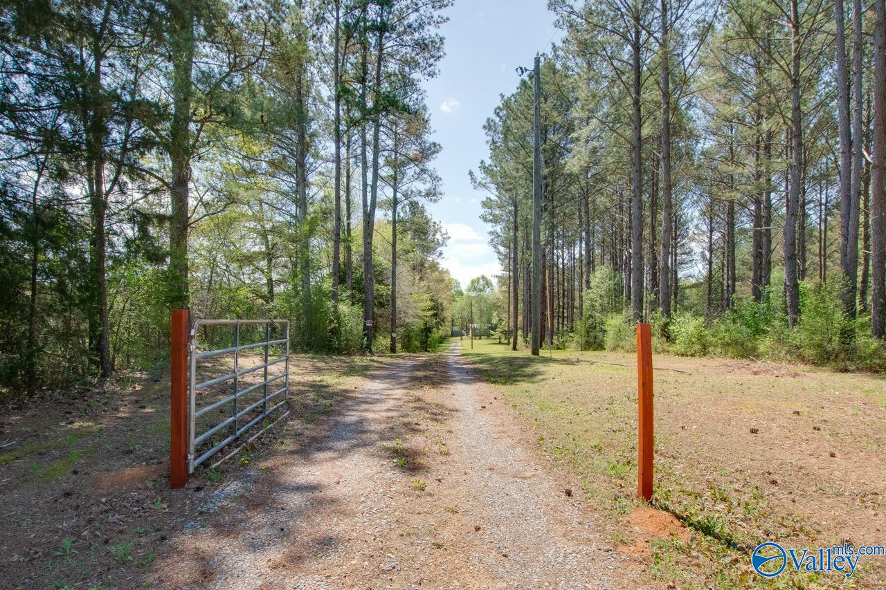 338 Paint Rock Road