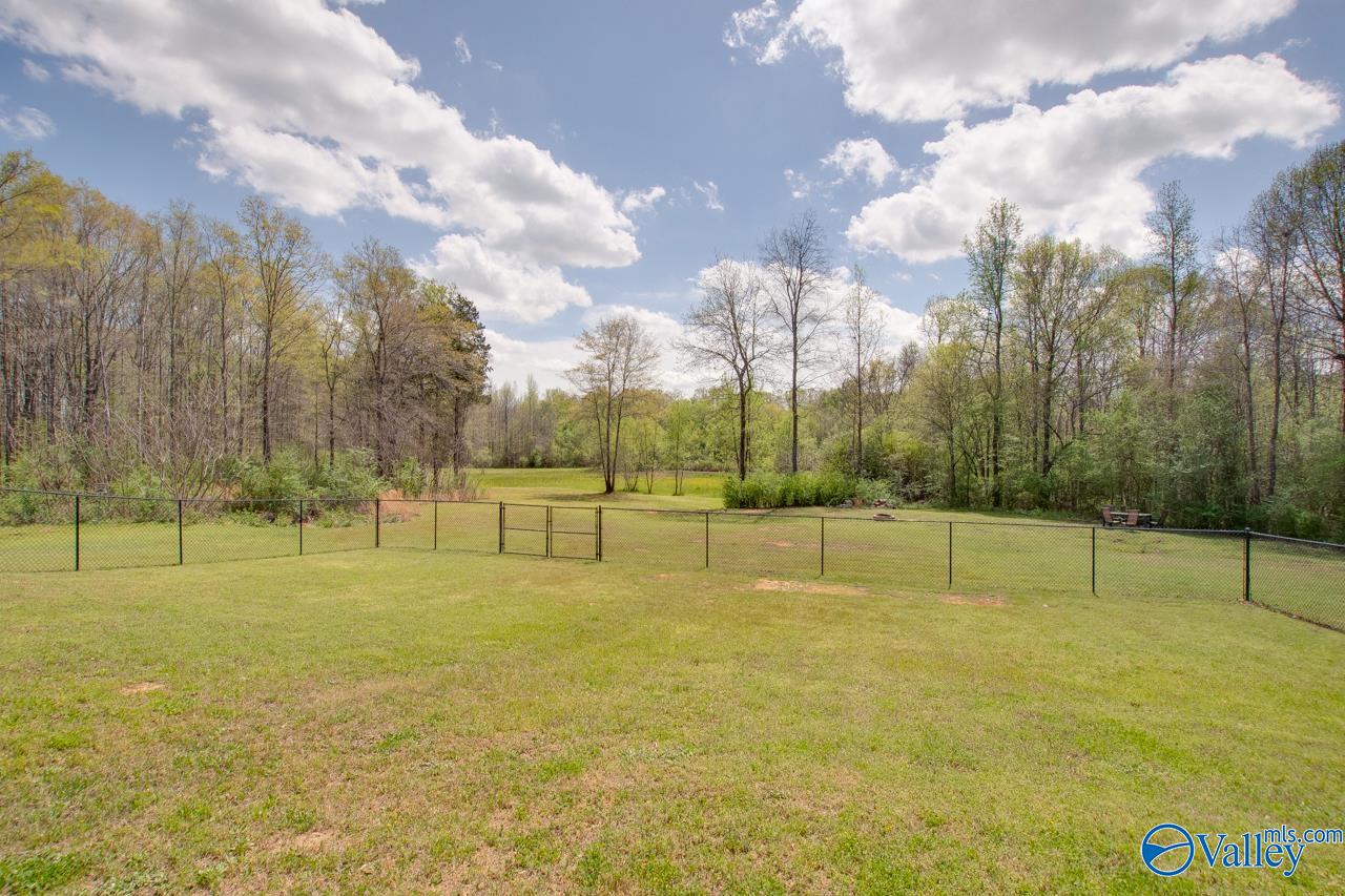 338 Paint Rock Road