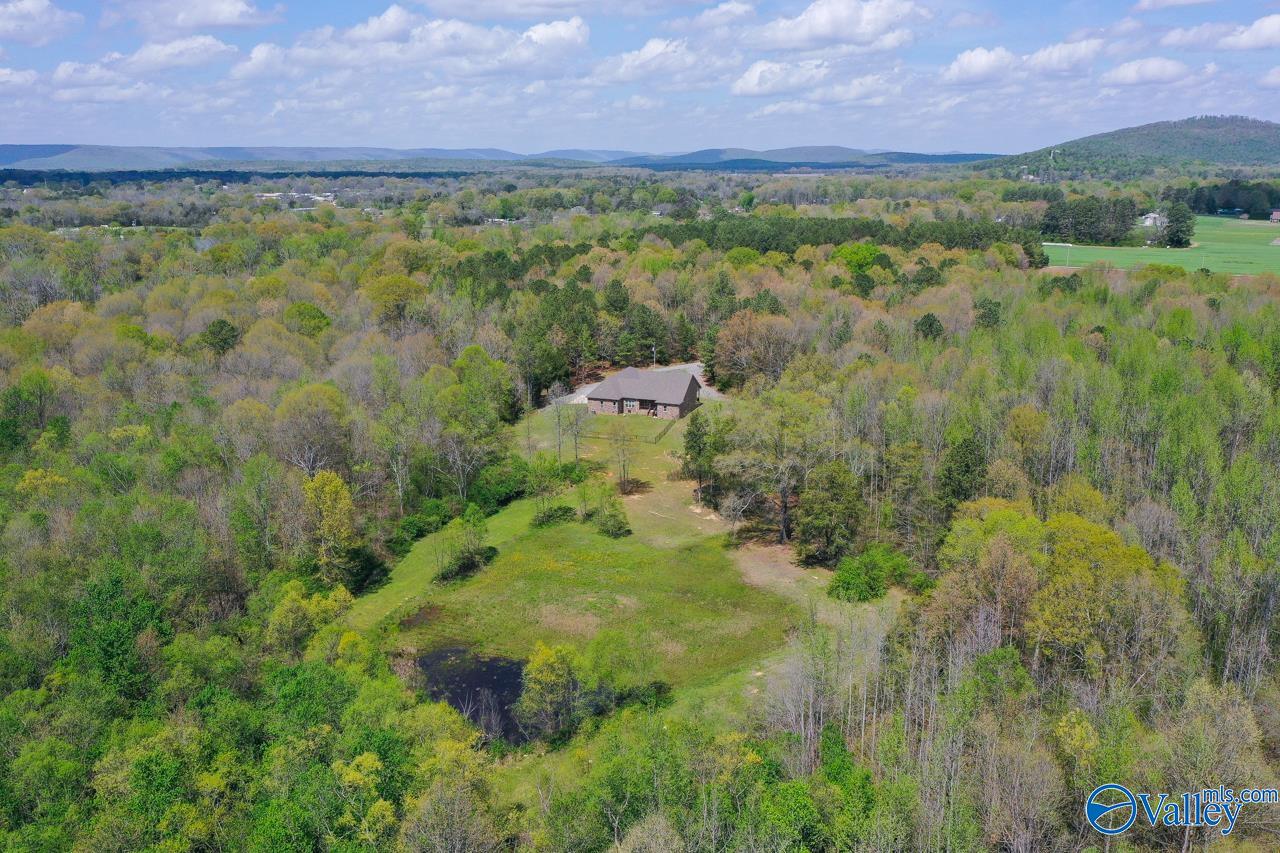 338 Paint Rock Road