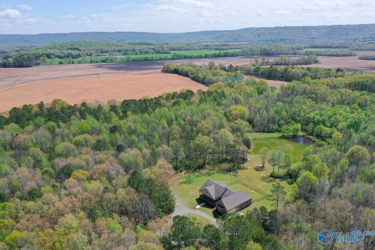 338 Paint Rock Road