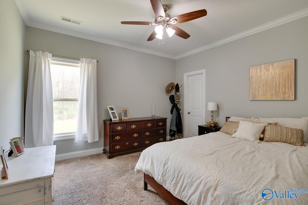 338 Paint Rock Road