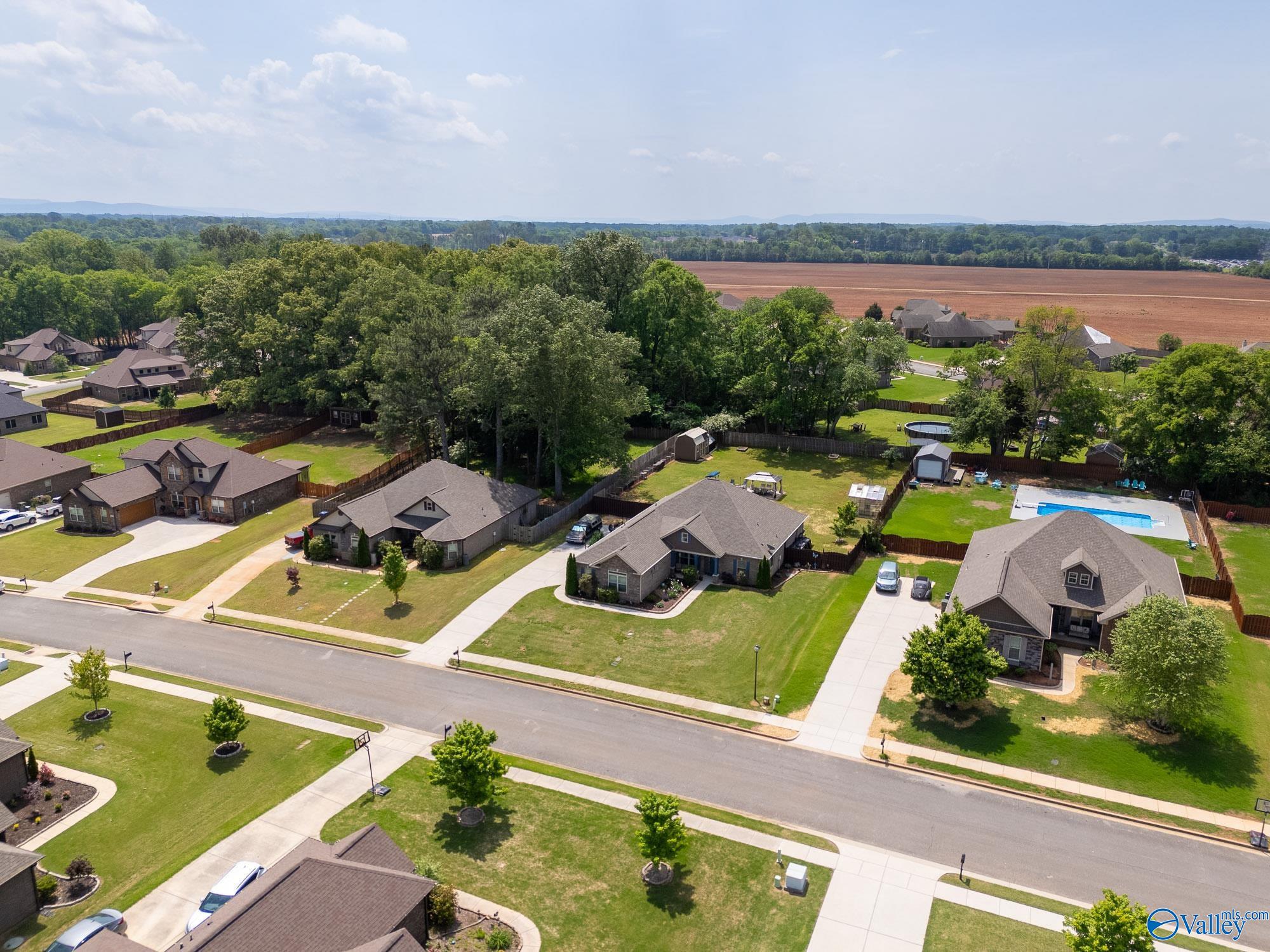 123 Carlton Cash Drive