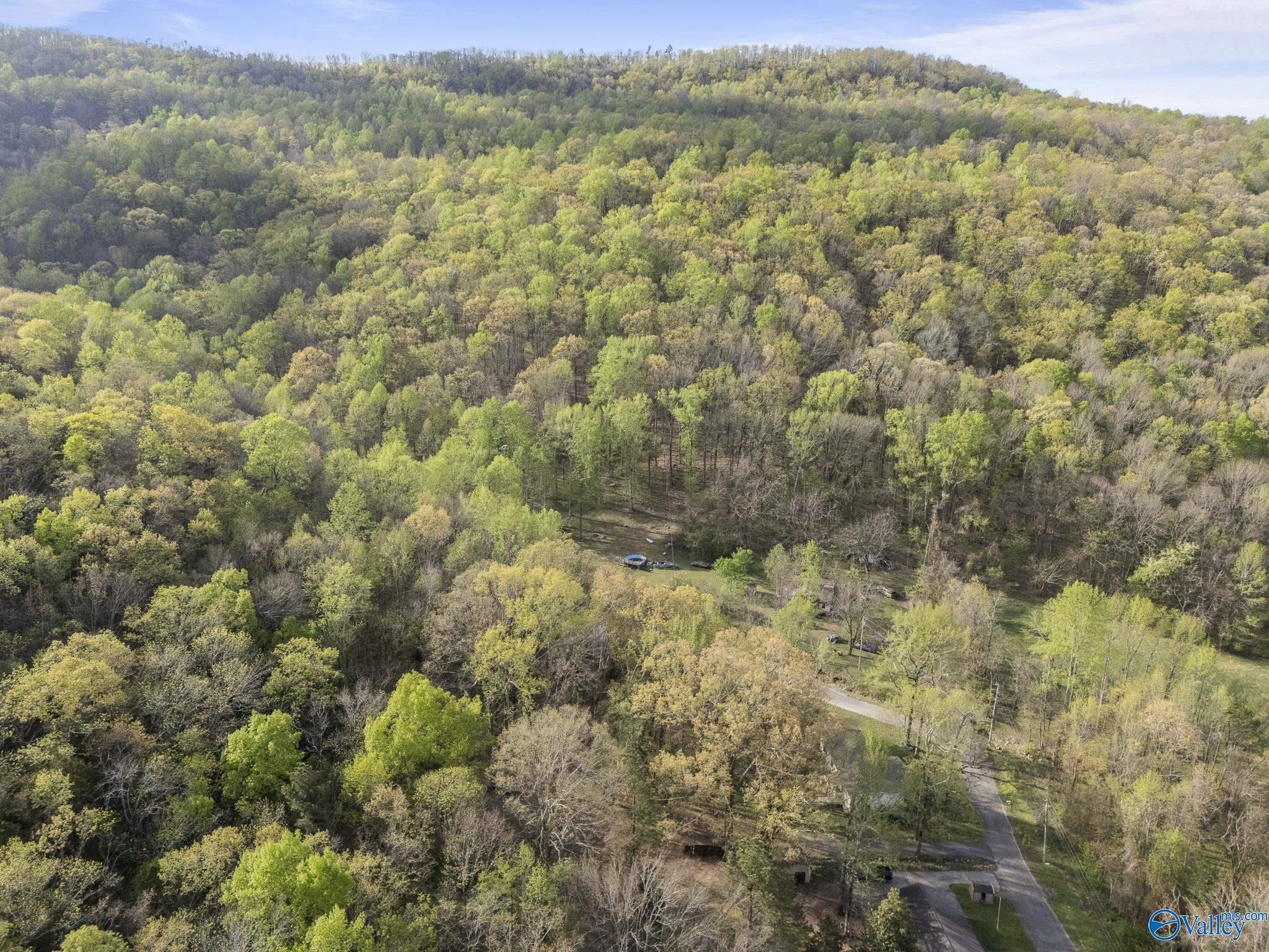 669 Horse Cove Road
