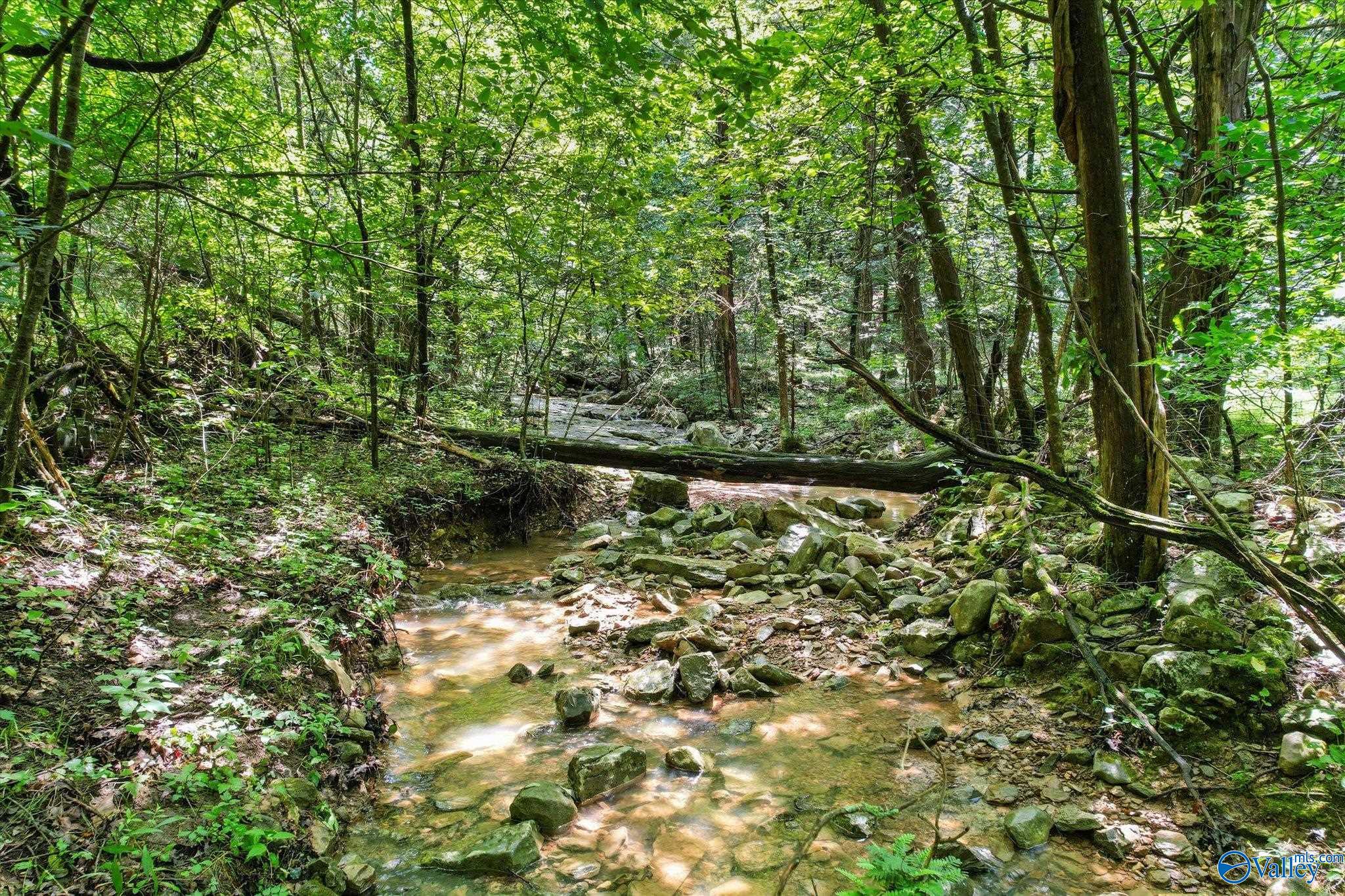 593 Sharps Hollow Road