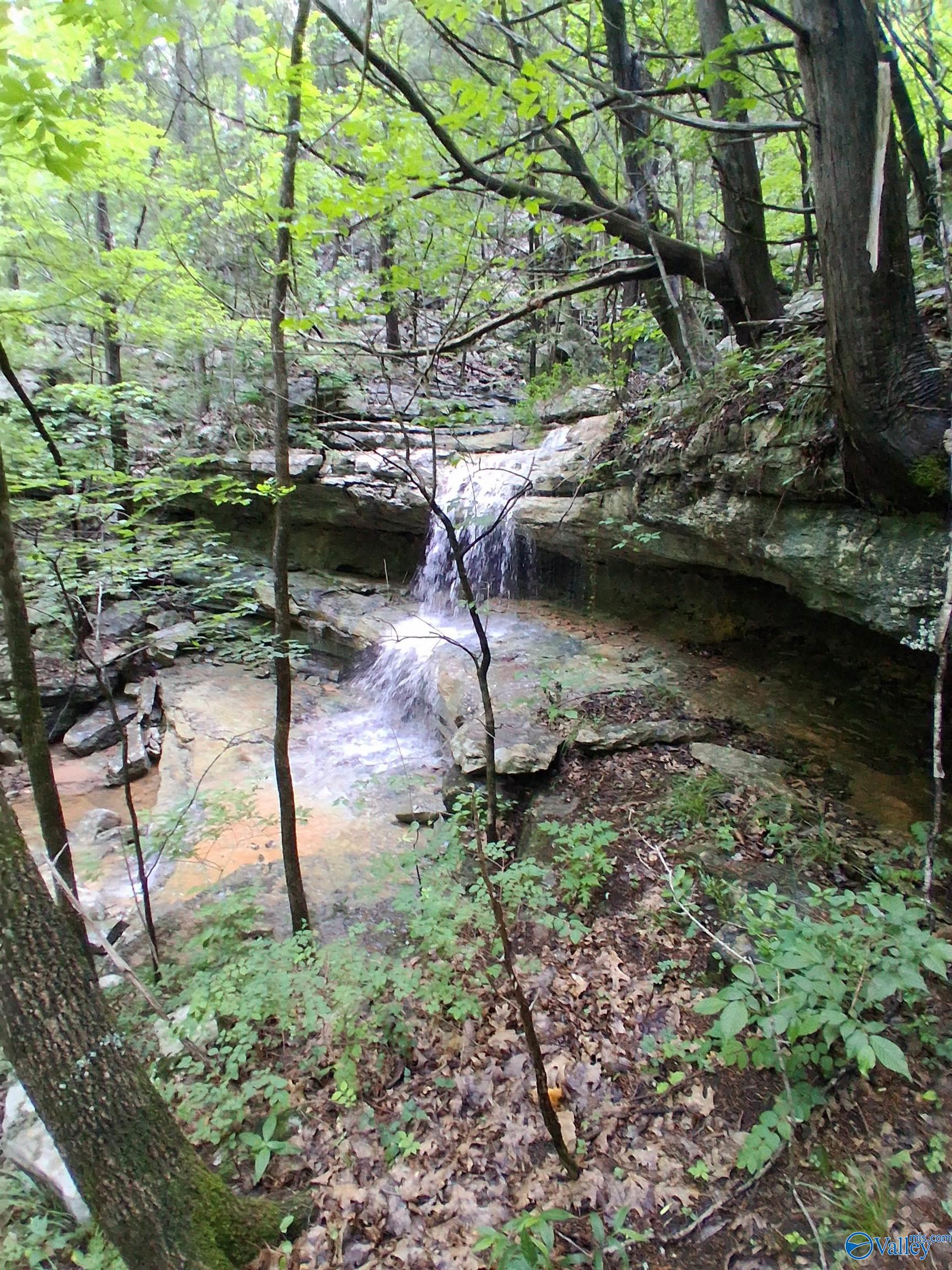 593 Sharps Hollow Road