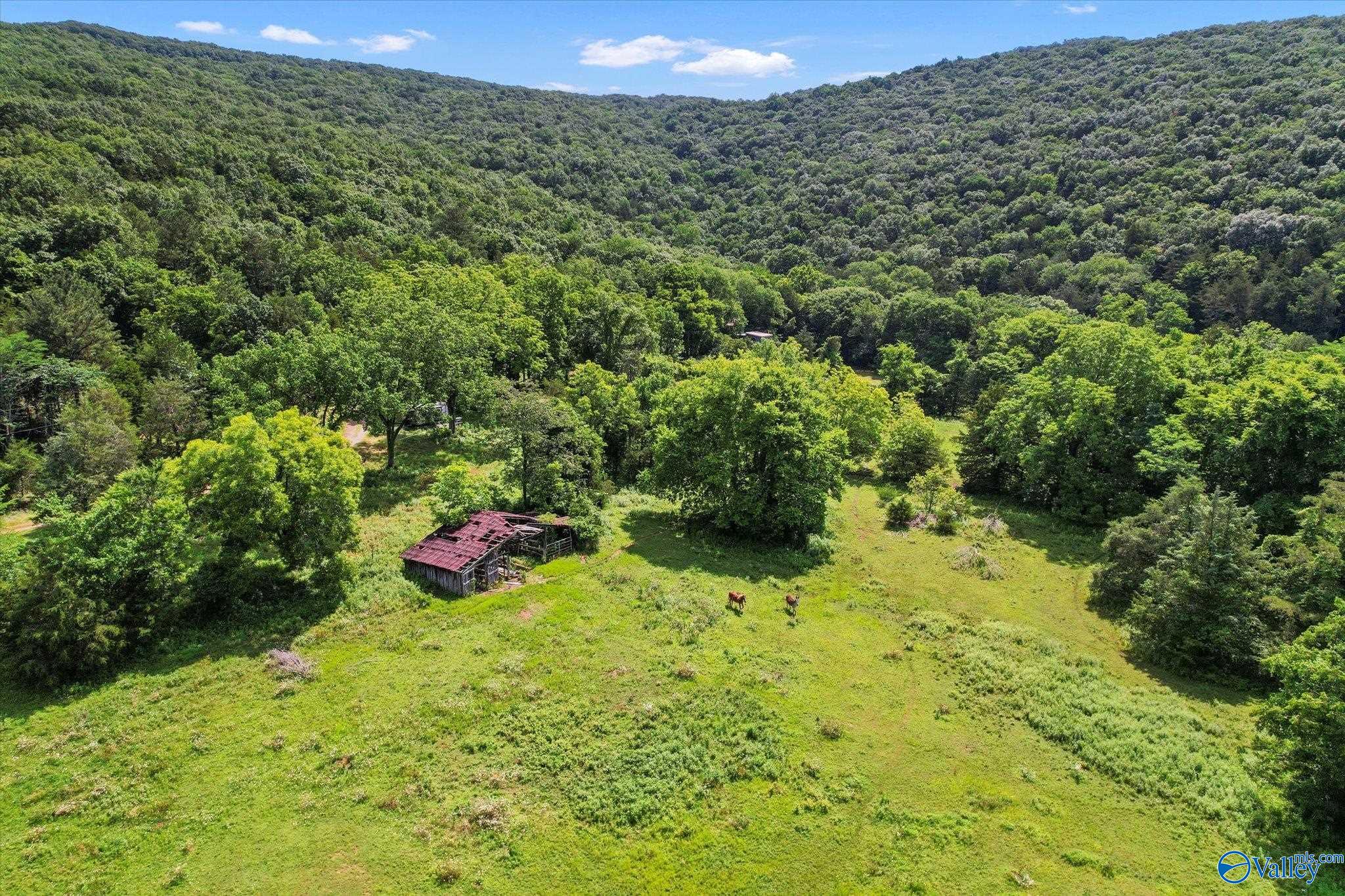 593 Sharps Hollow Road
