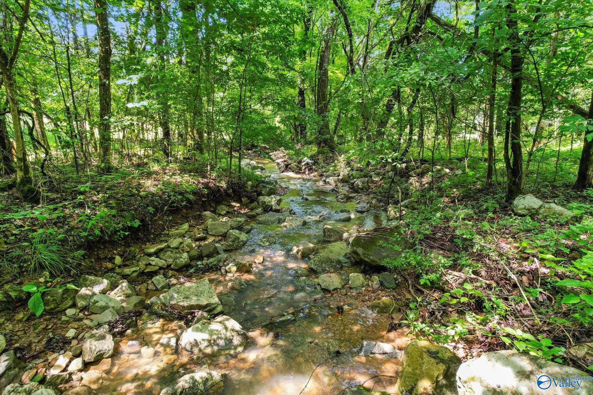 593 Sharps Hollow Road
