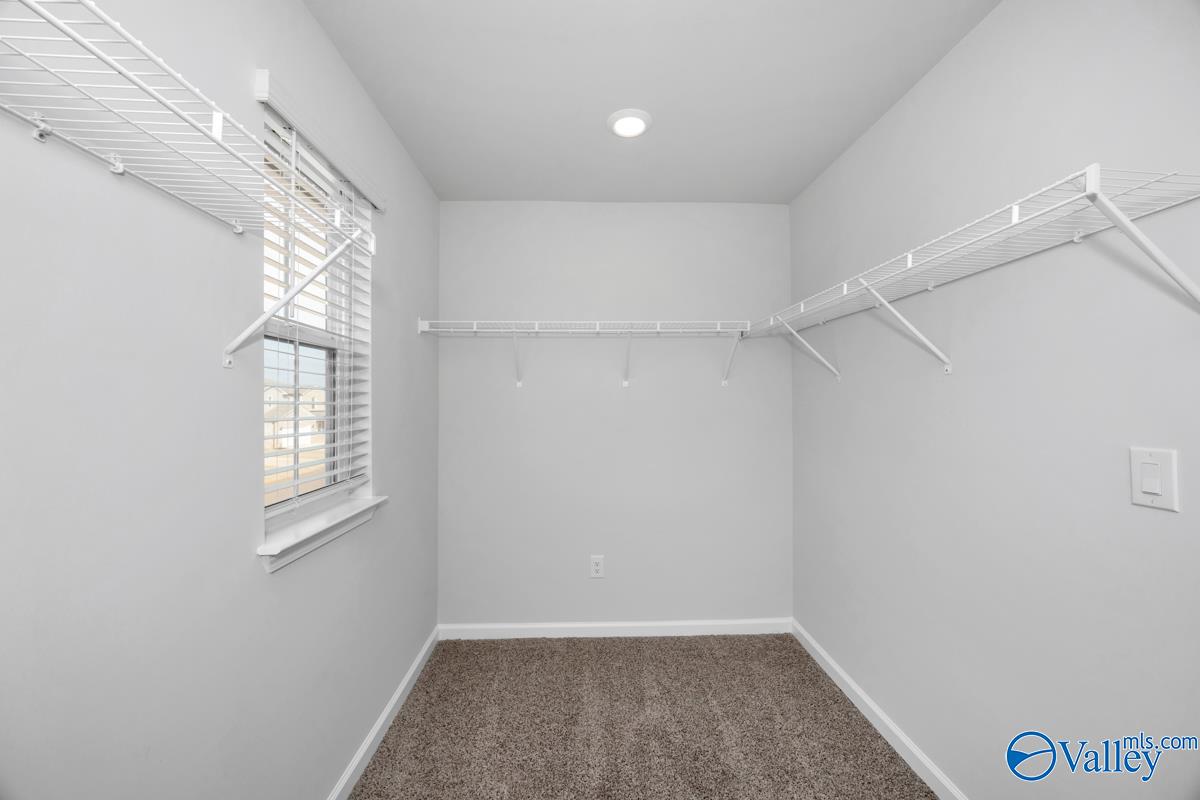 29340 Satilla Circle