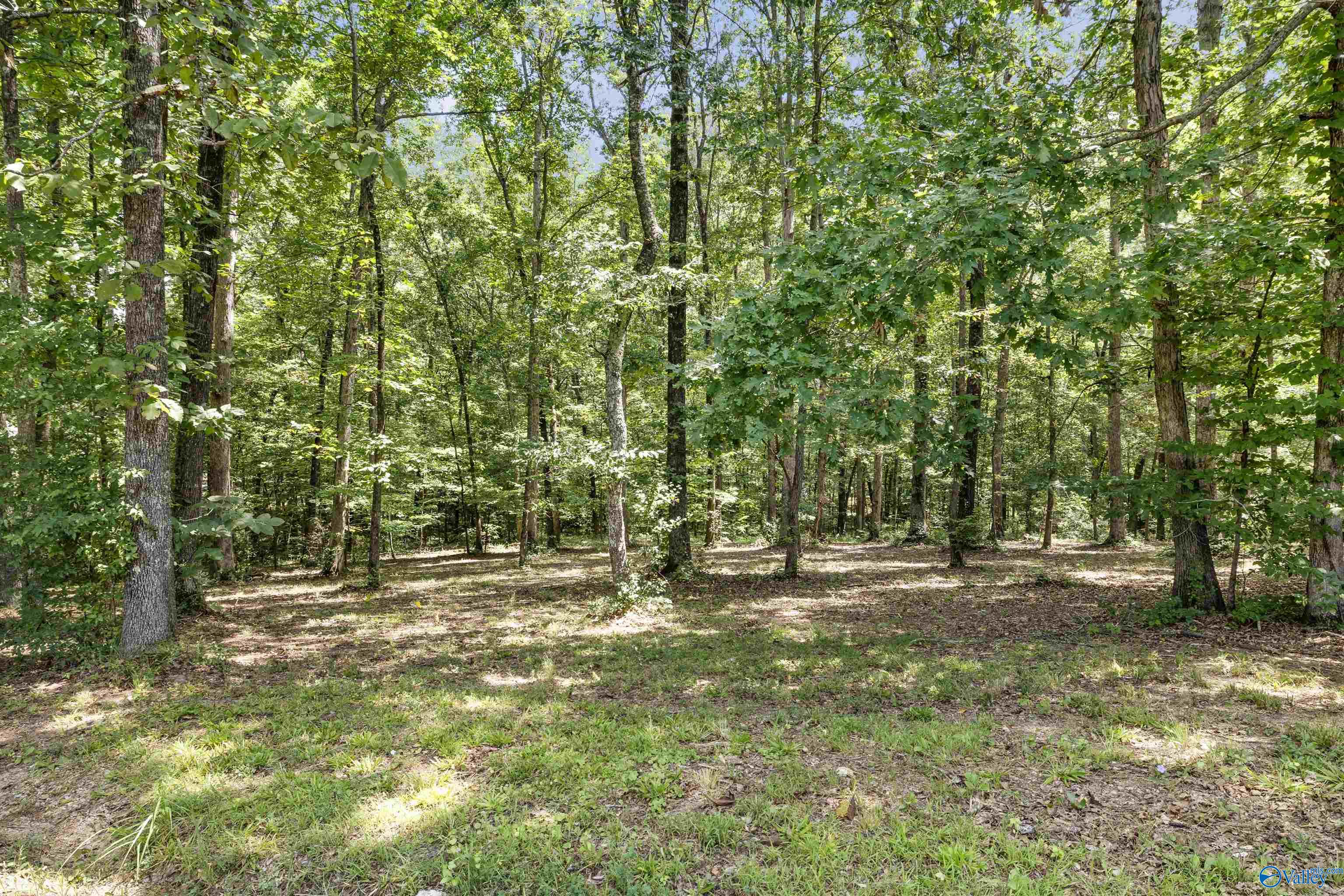 1125 Perkins Wood Road