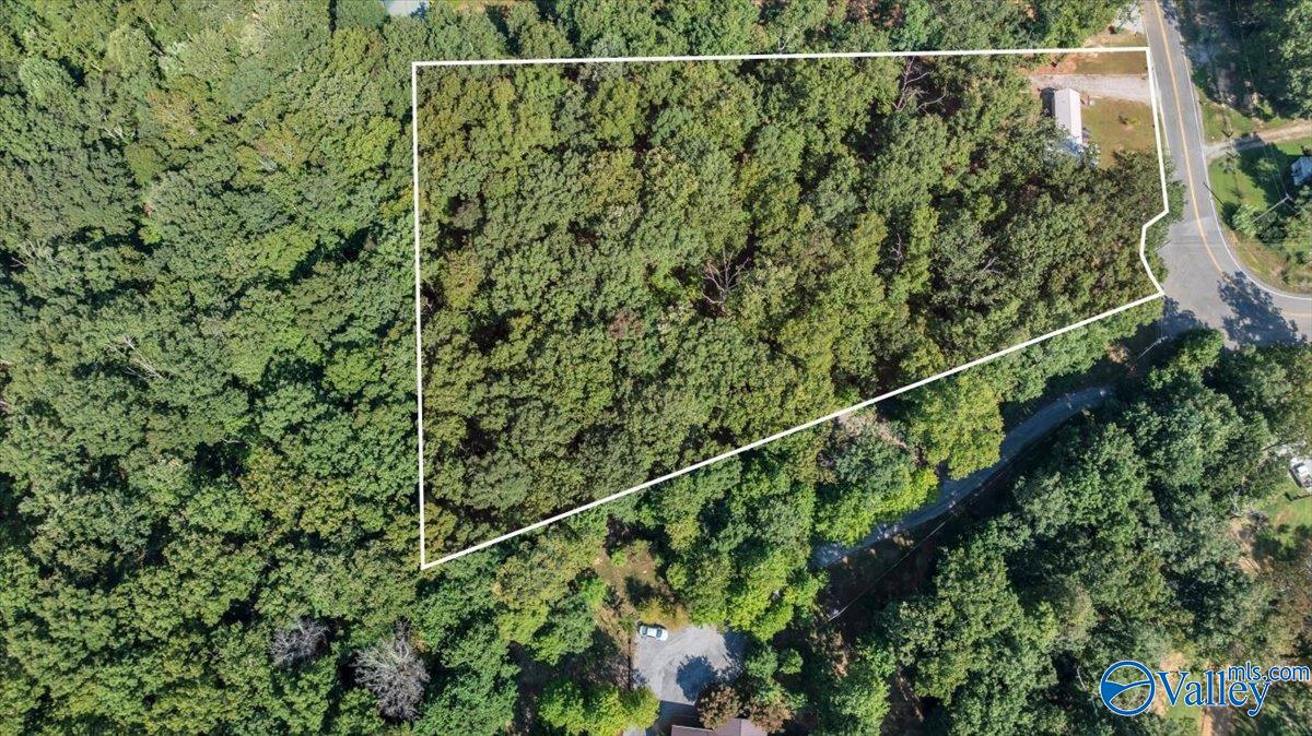 307 Reunion Oaks Drive