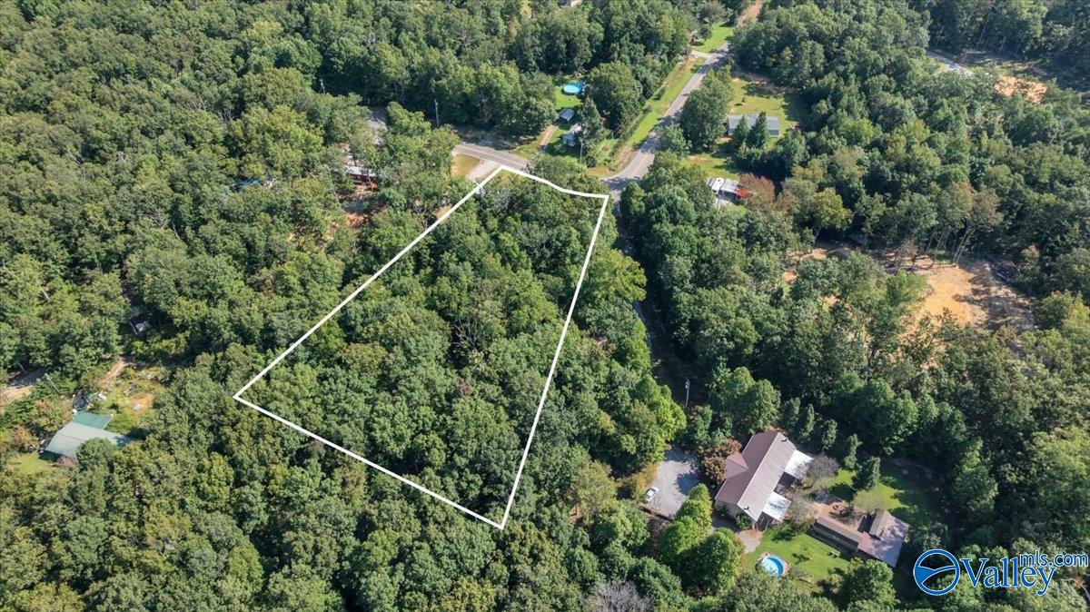 307 Reunion Oaks Drive