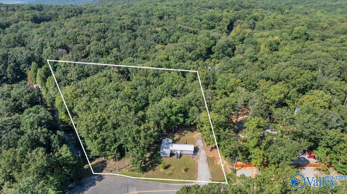 307 Reunion Oaks Drive