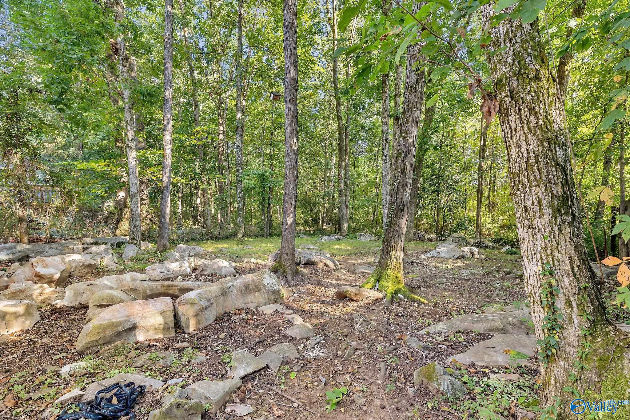 504 Carrsbrook Road SE