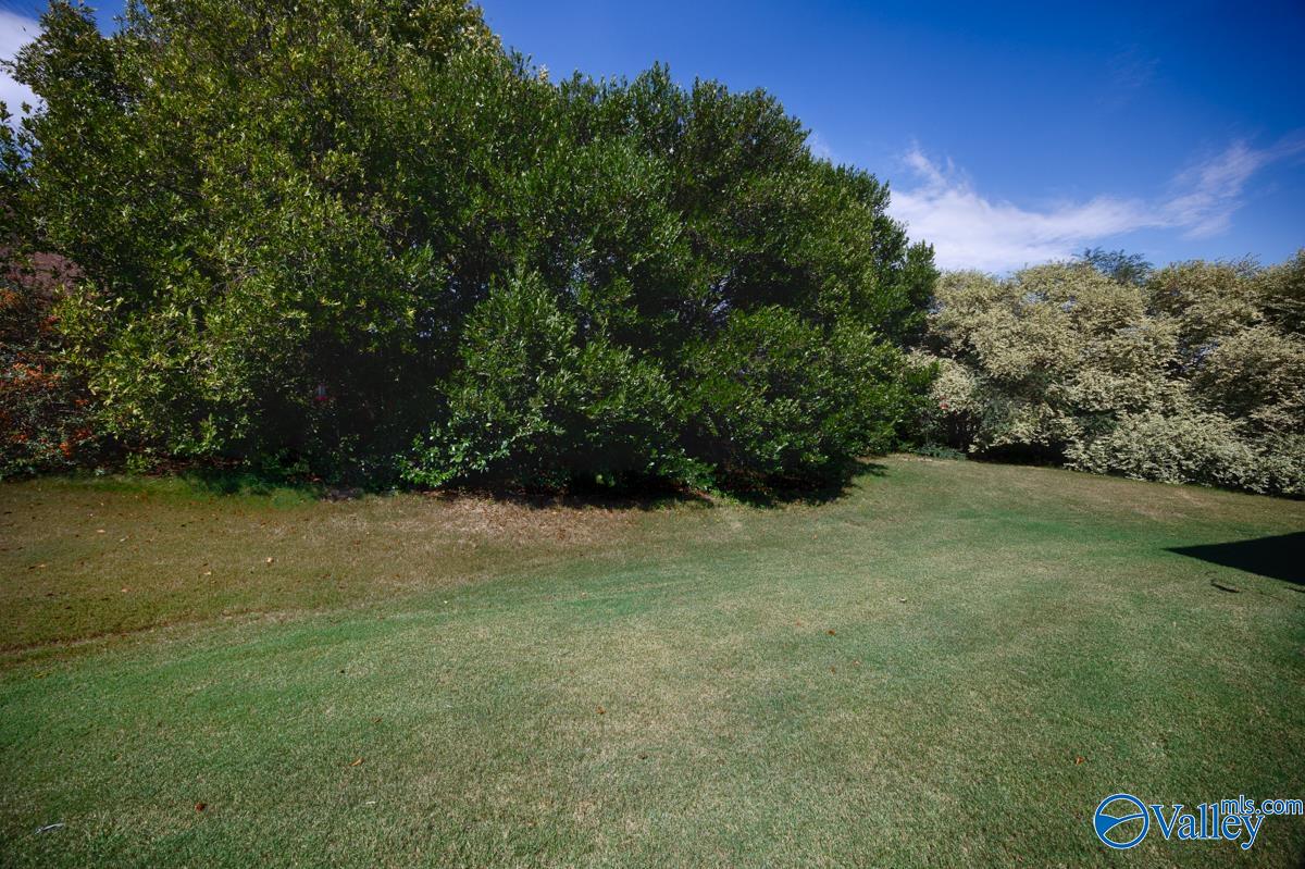 14561 Foxwood Drive