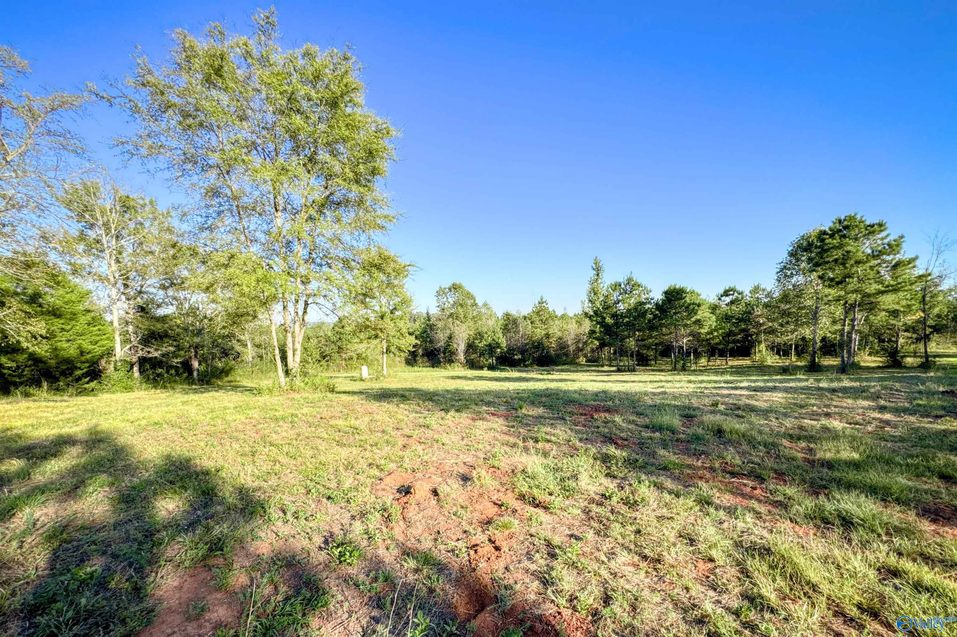 1230 Curry Chapel Road