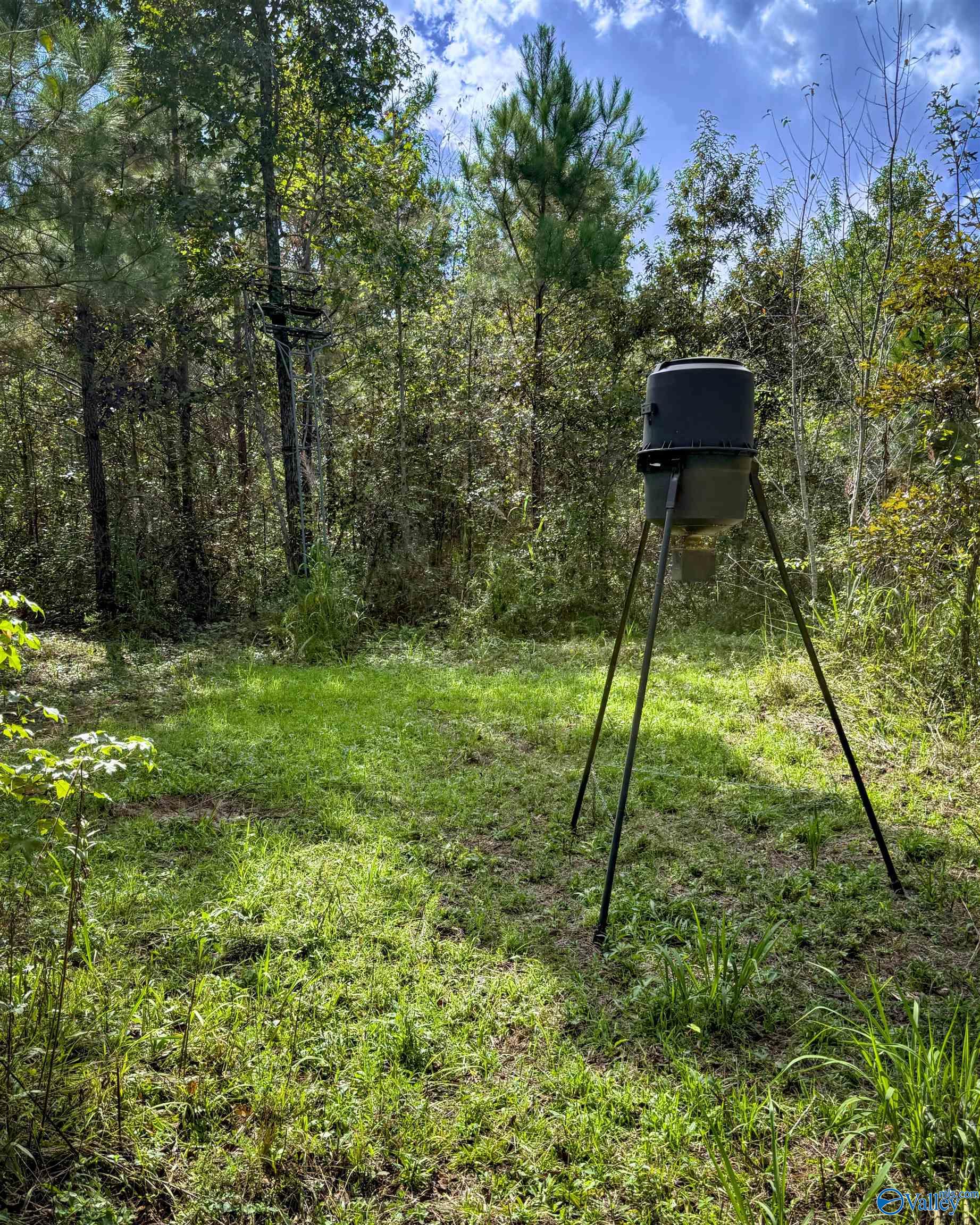 1230 Curry Chapel Road