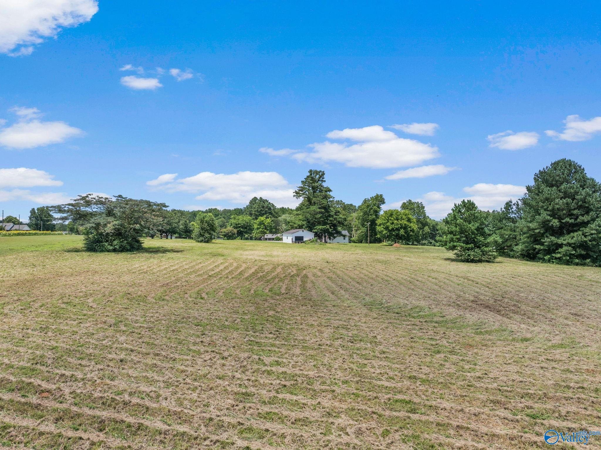 17390 Huntsville Brownsferry Road