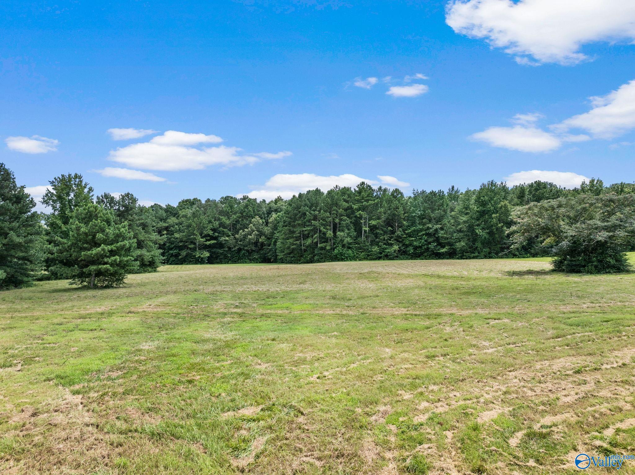 17390 Huntsville Brownsferry Road
