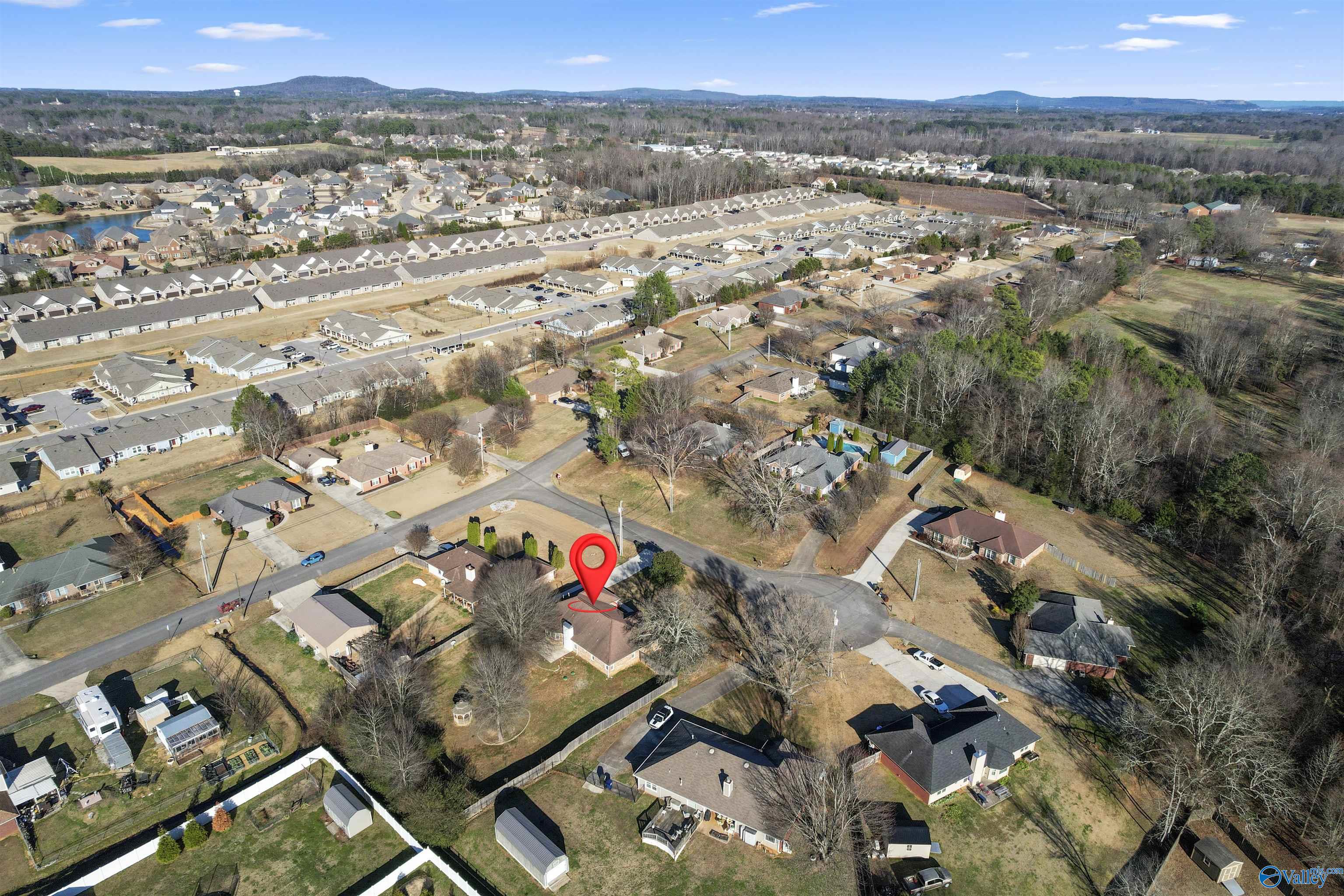 102 Hornet Court