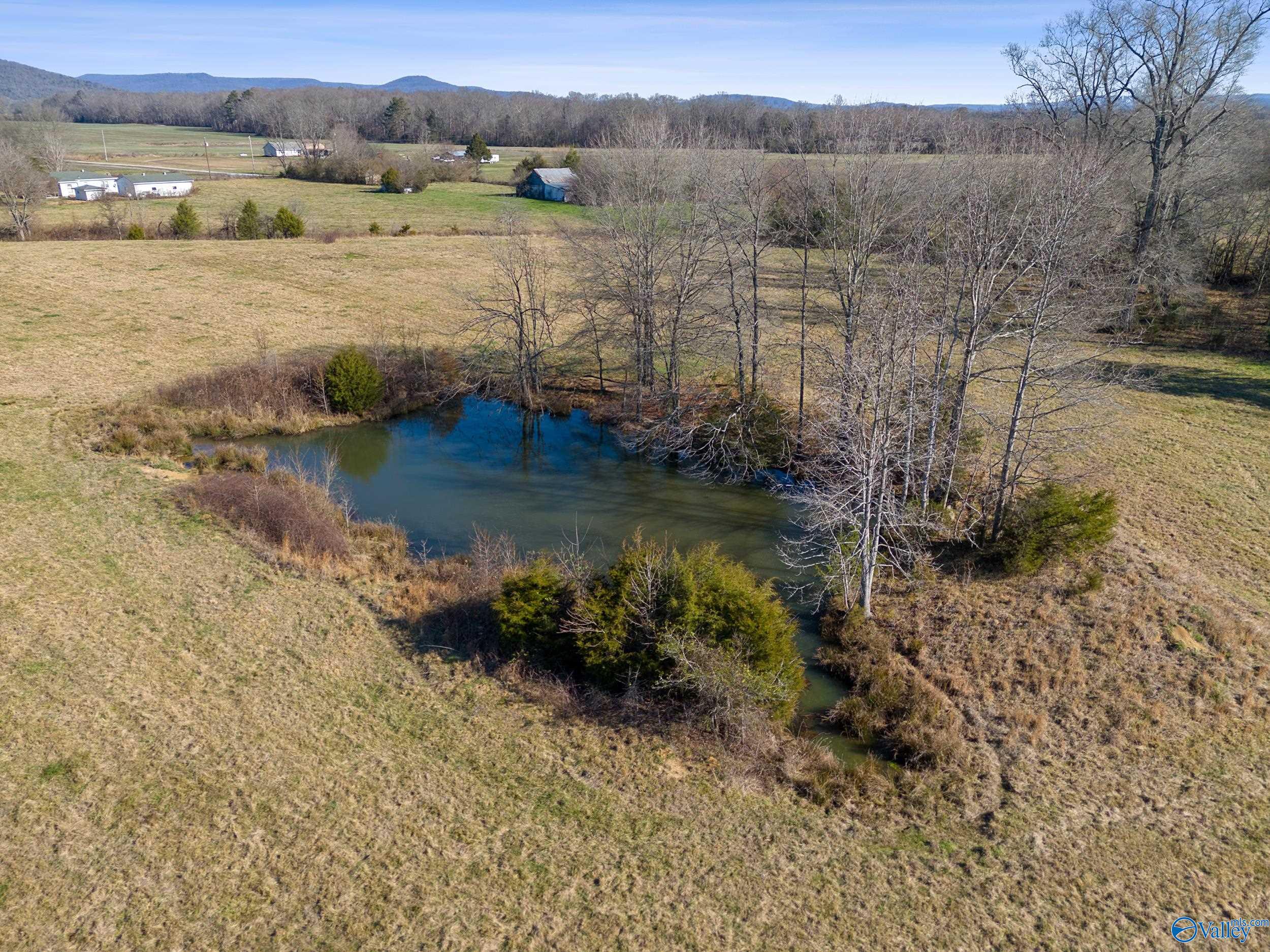 336 Martin Childers Road