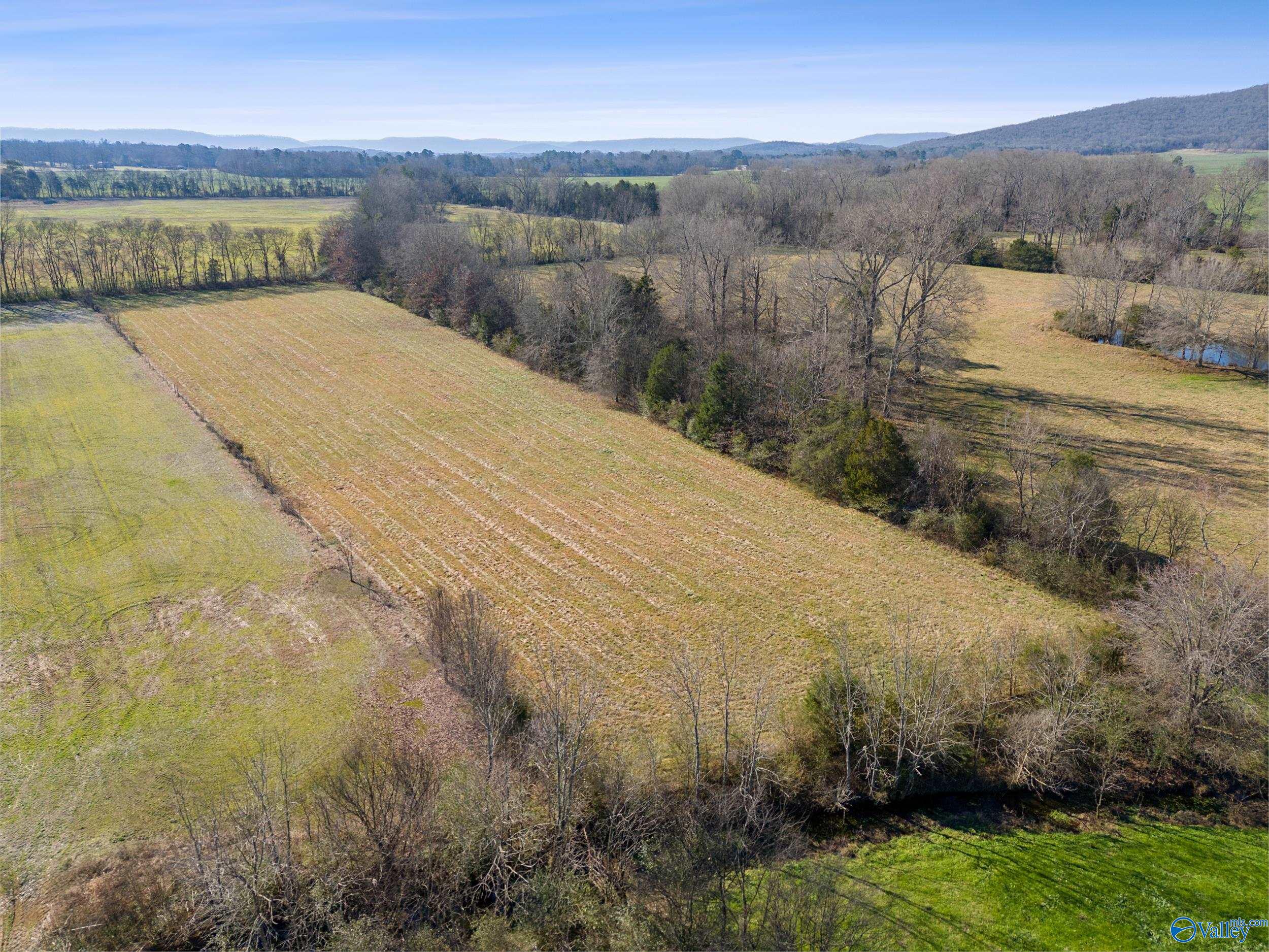336 Martin Childers Road