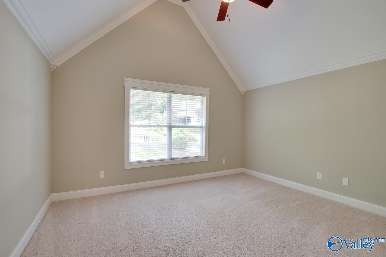 10016 Conrad Drive