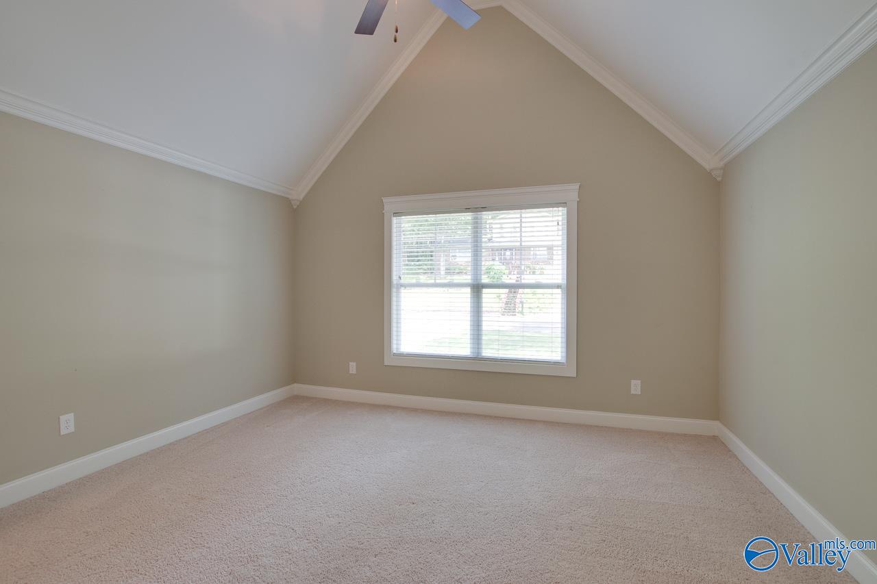 10016 Conrad Drive