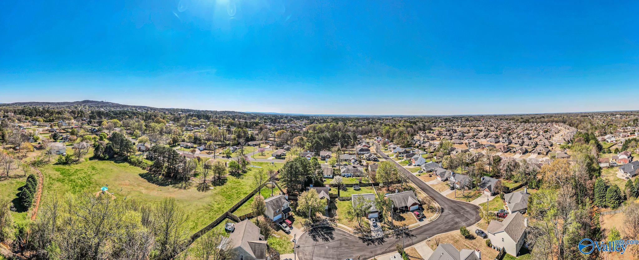 166 Brass Oak Drive