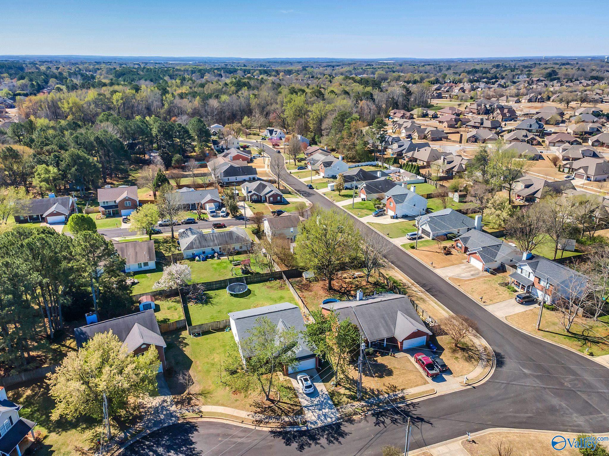 166 Brass Oak Drive