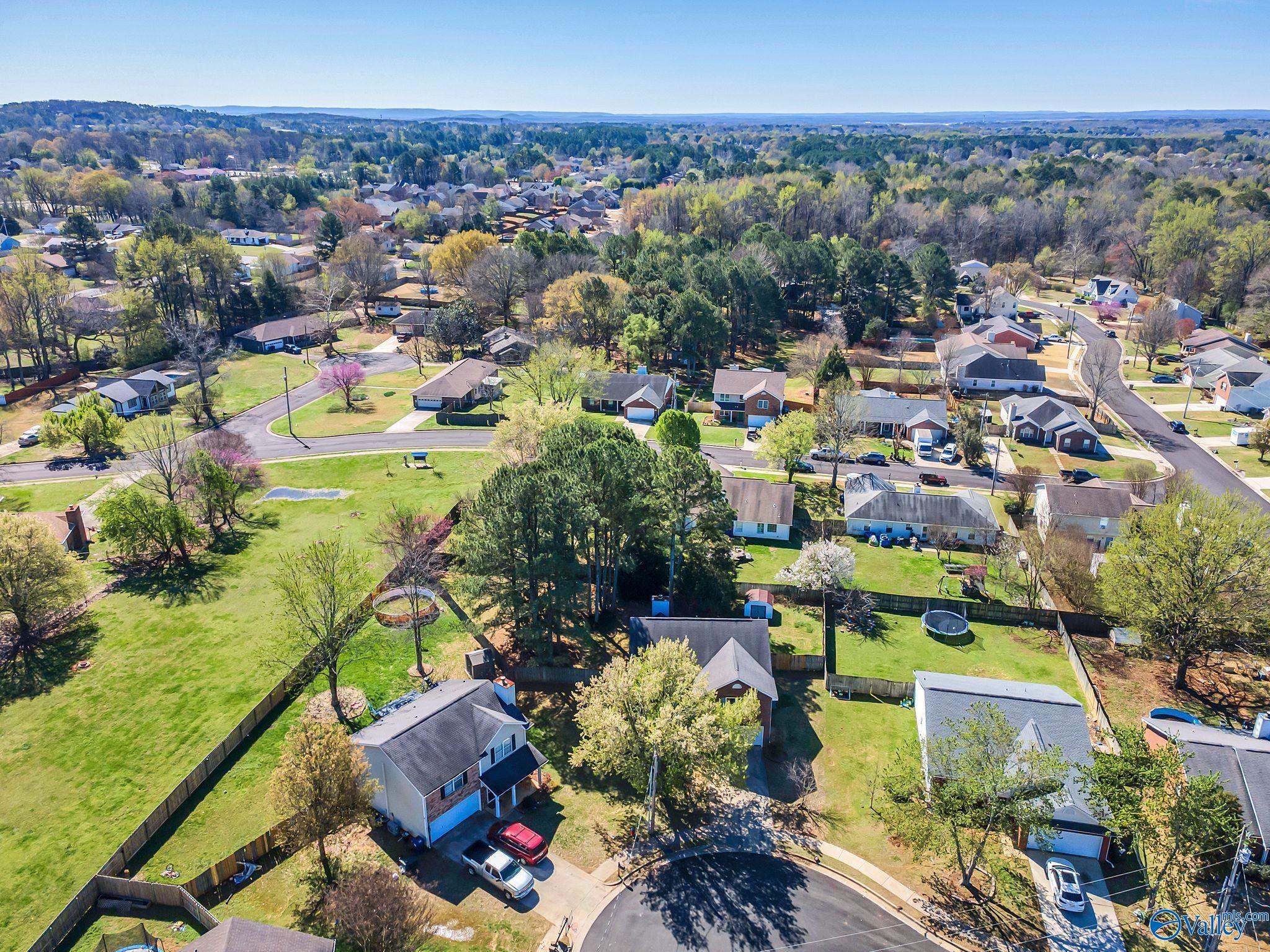 166 Brass Oak Drive
