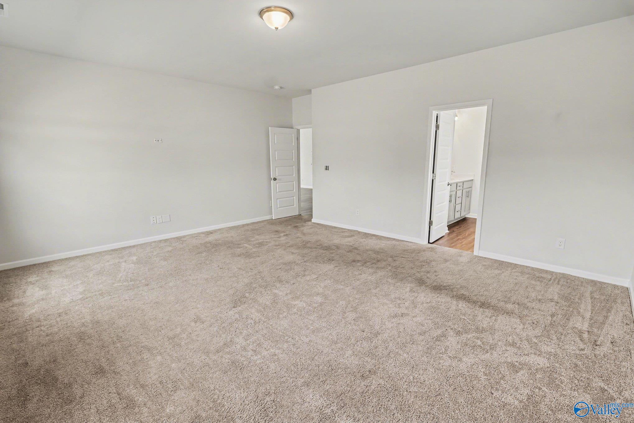 221 Portrait Street