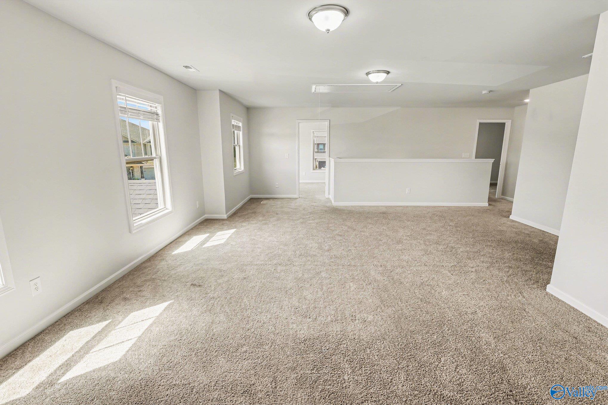 221 Portrait Street