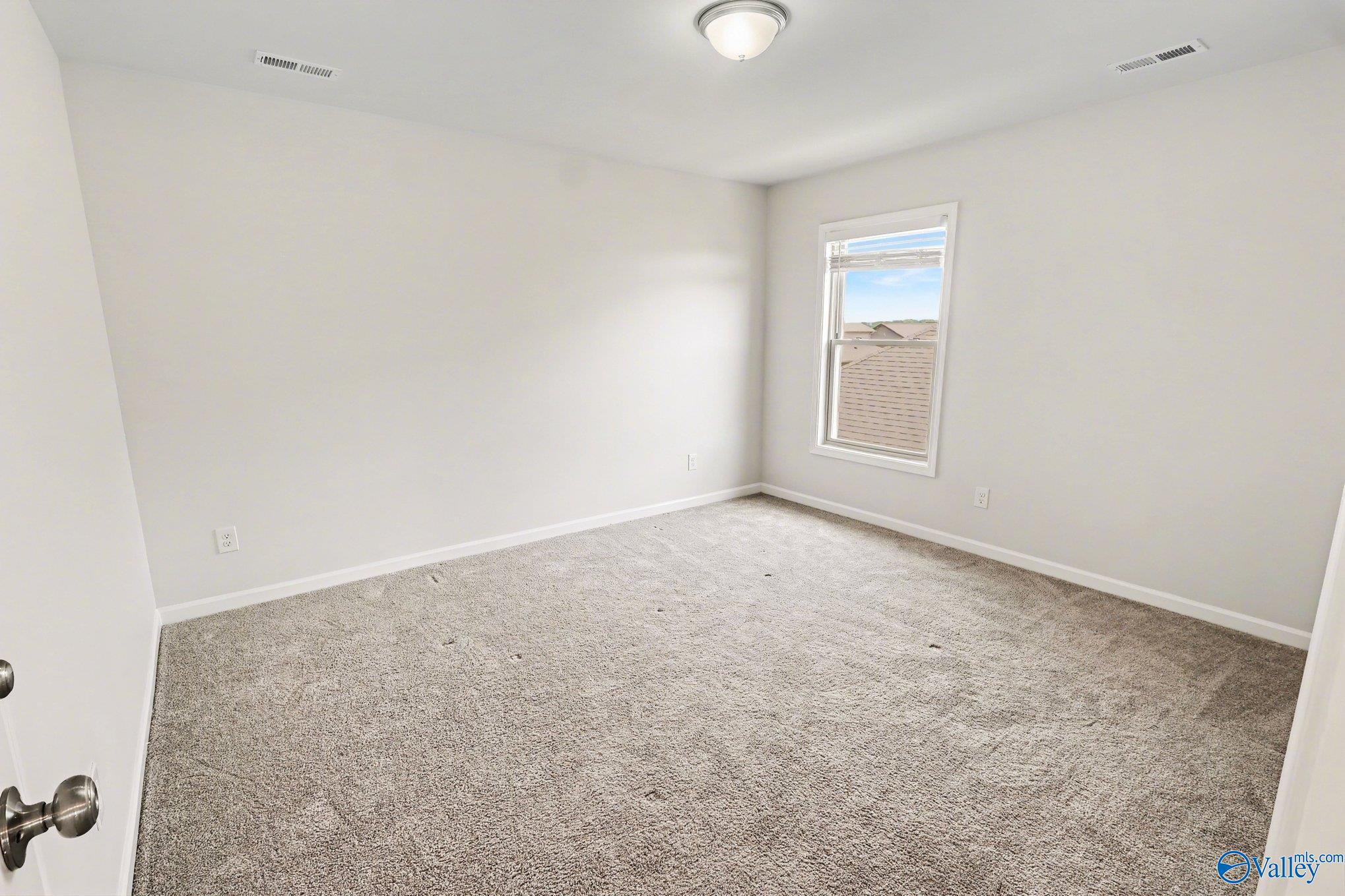 221 Portrait Street