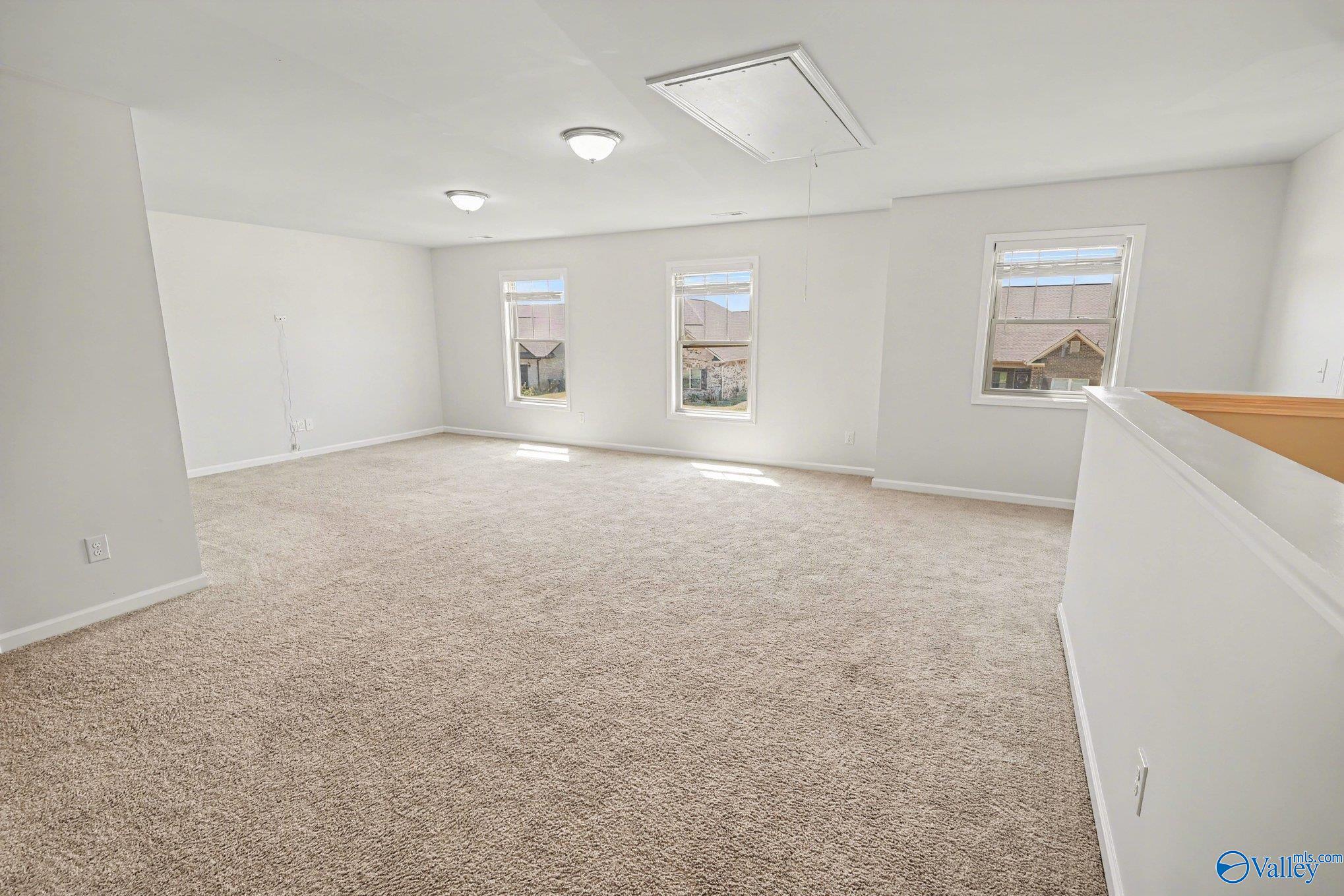221 Portrait Street