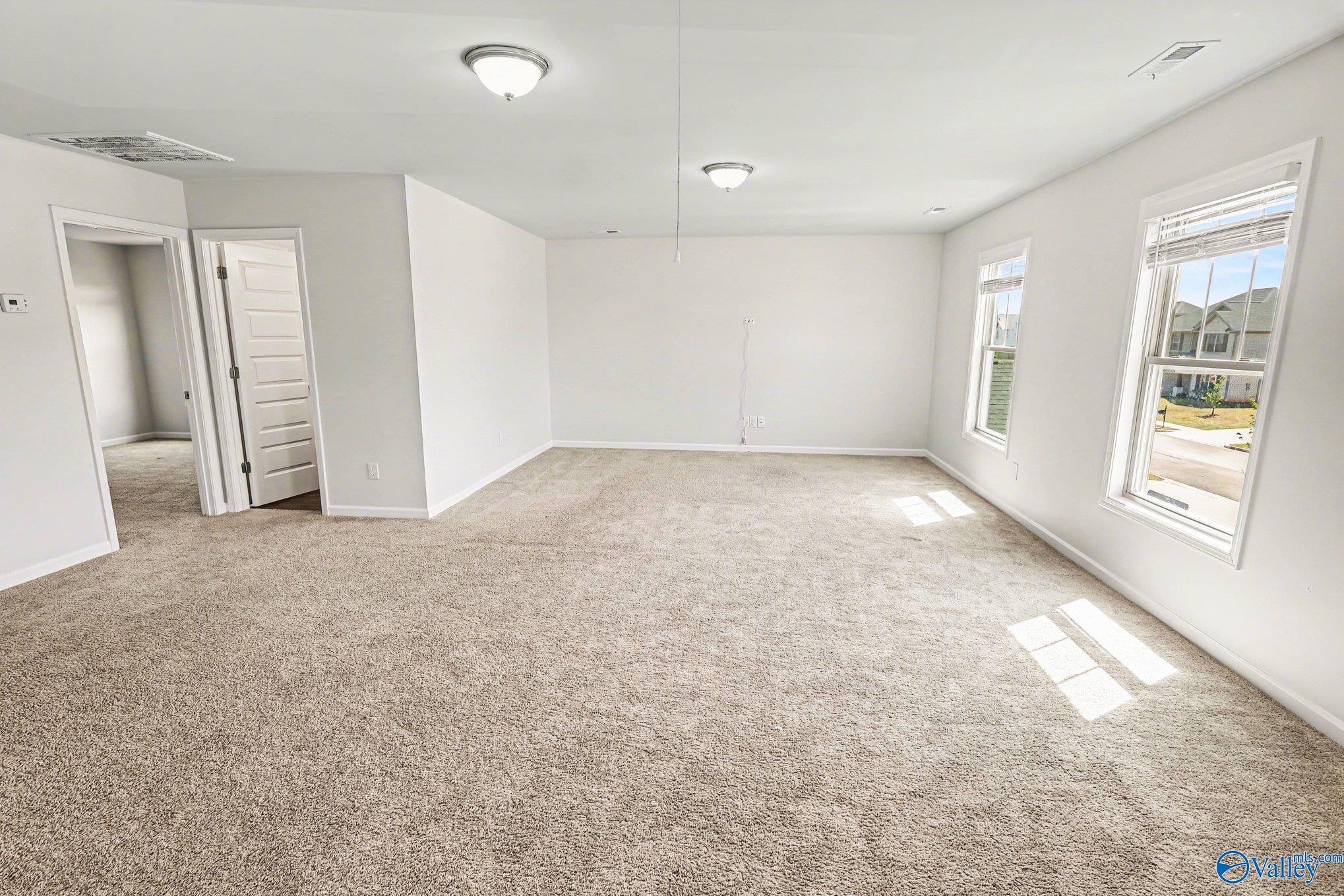 221 Portrait Street