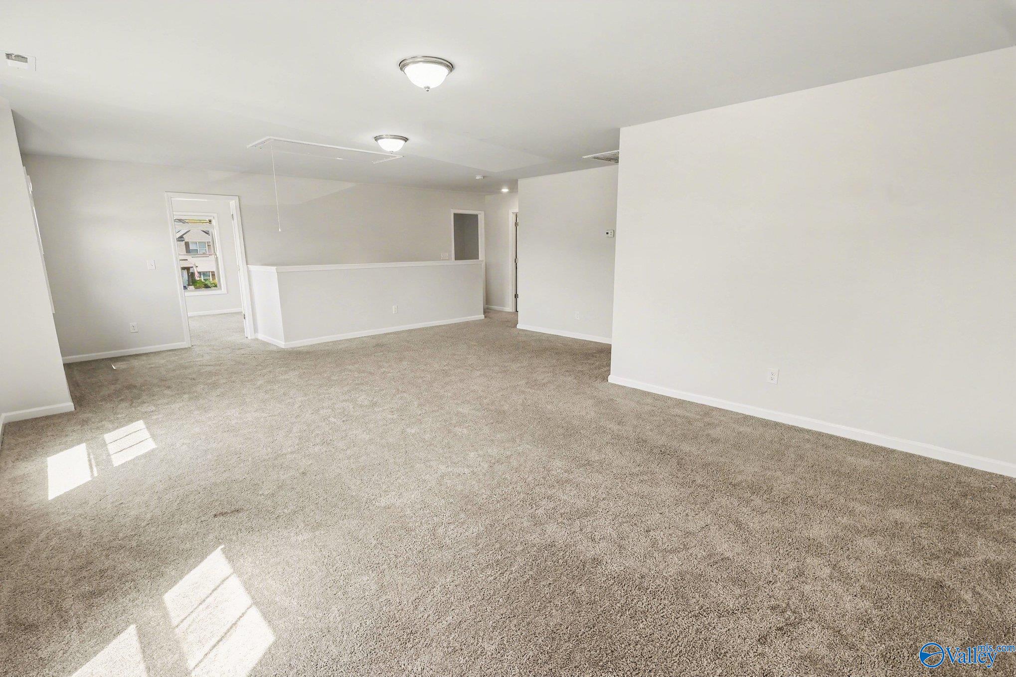 221 Portrait Street