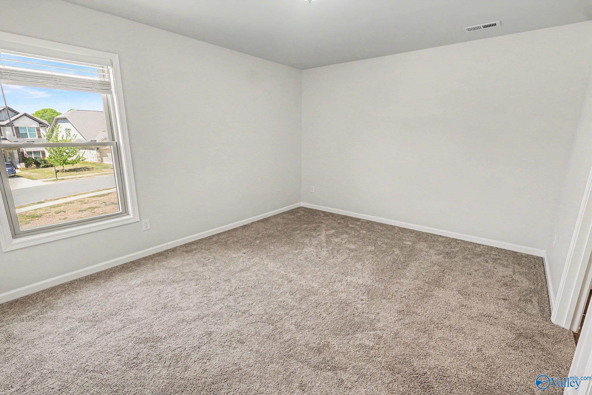 221 Portrait Street