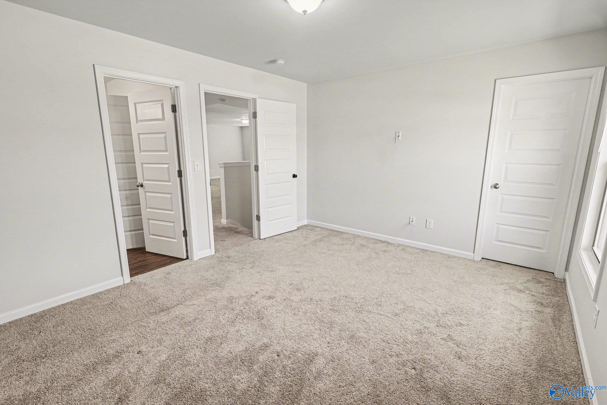 221 Portrait Street