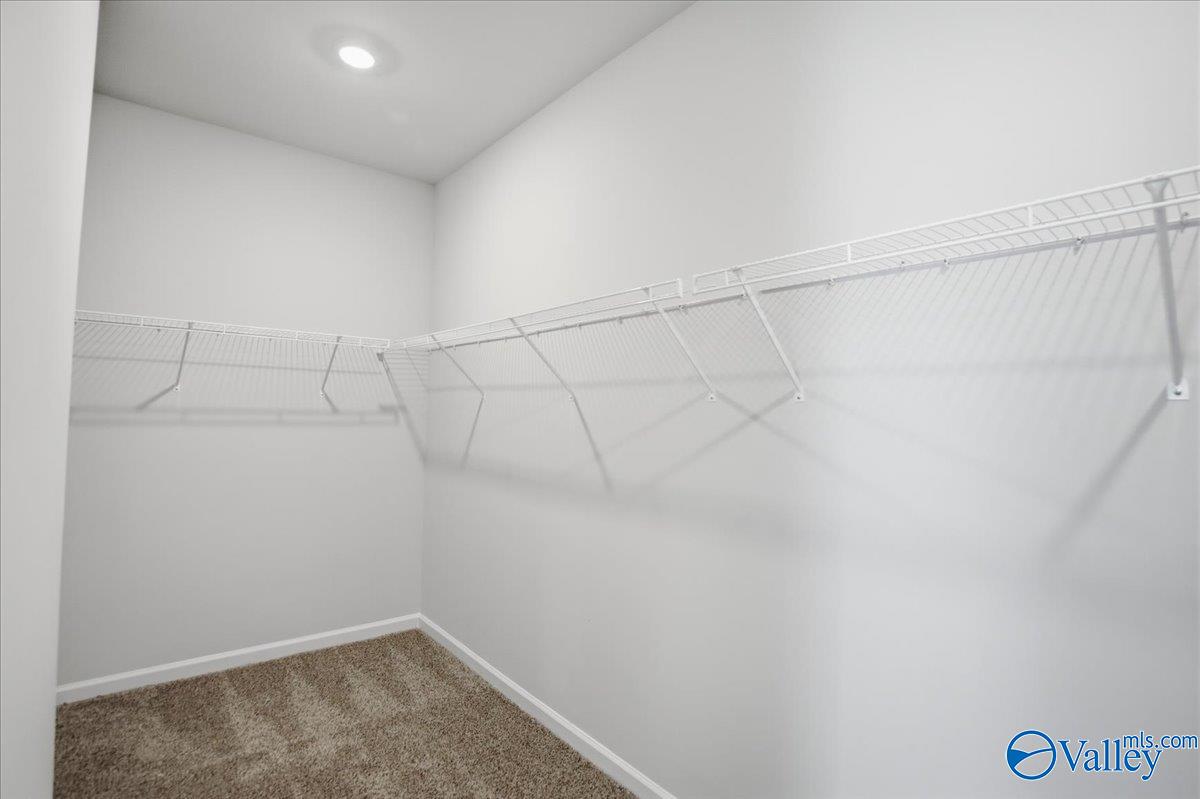 137 Tango Drive