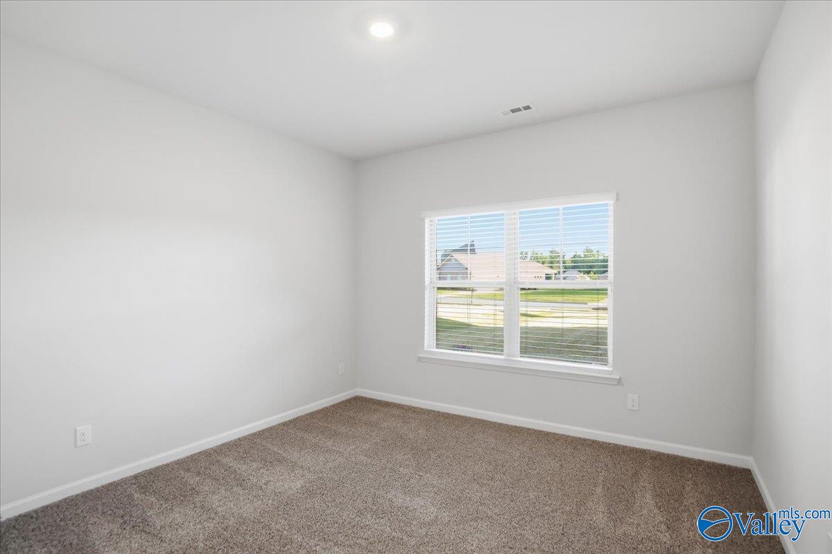 137 Tango Drive