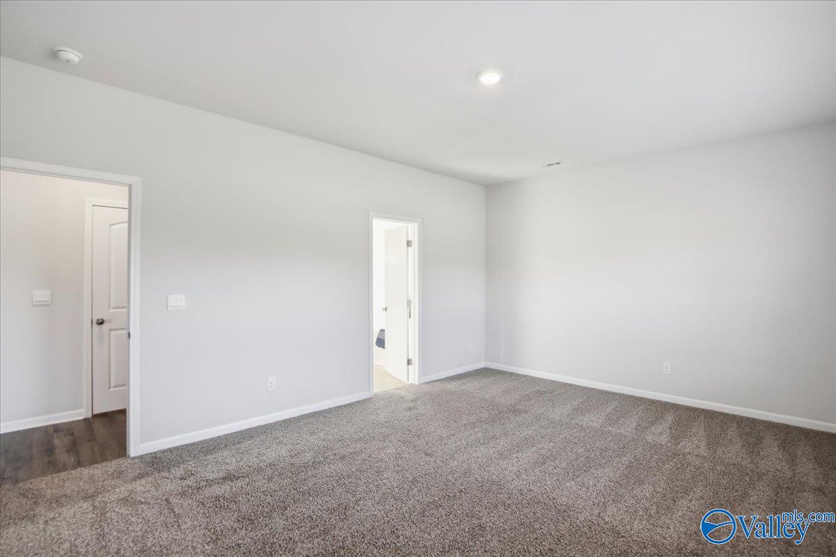137 Tango Drive