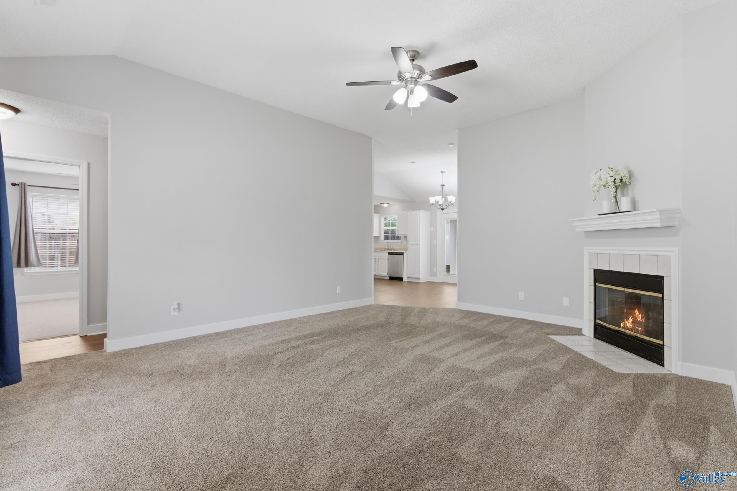 209 Mountain Creek Drive