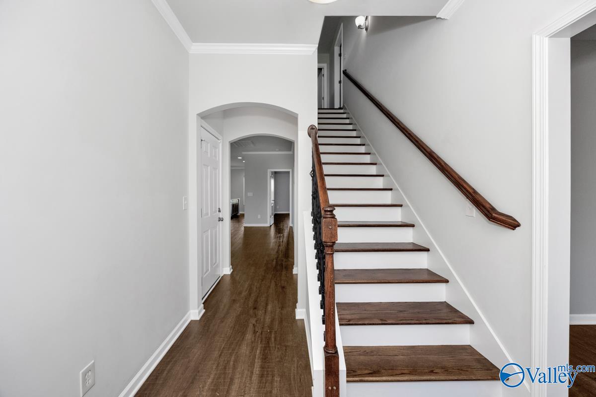 251 Holt Street
