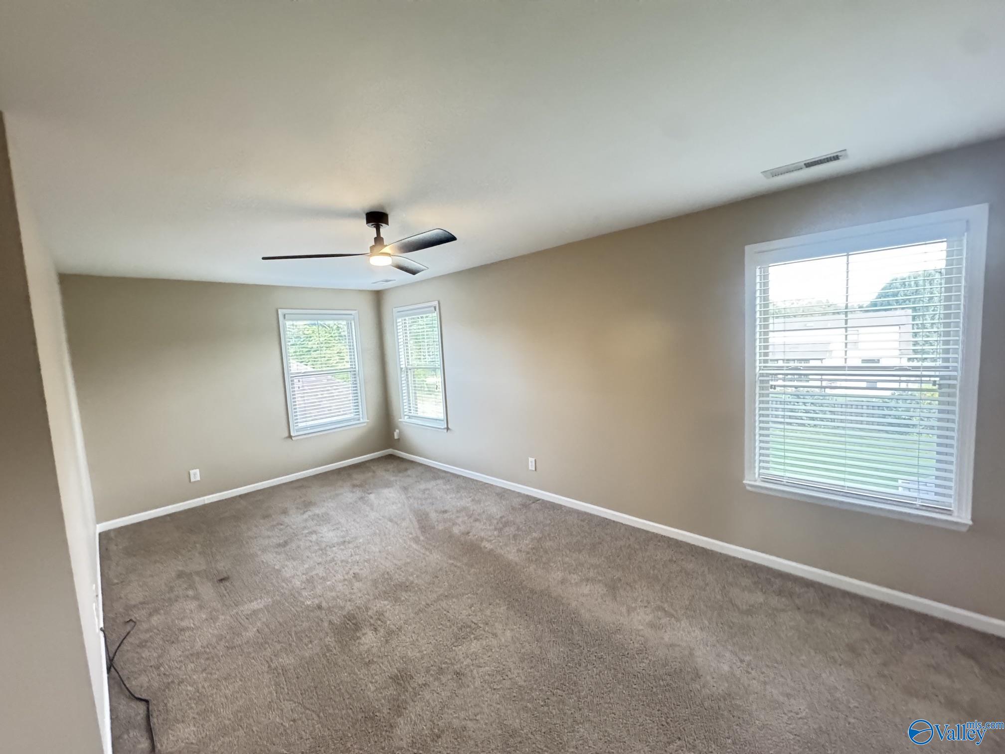 199 Little Oak