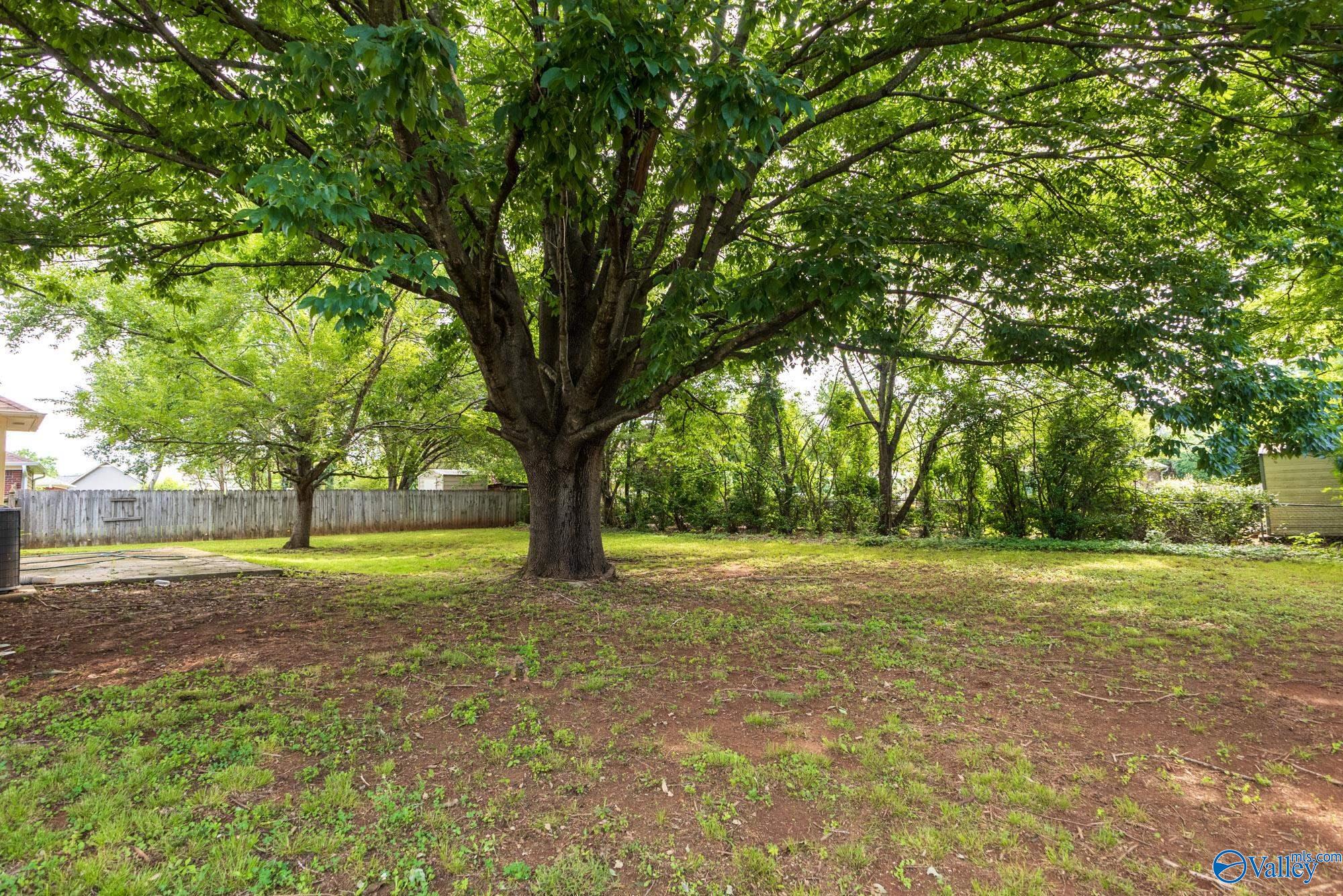 107 Dawn Drive