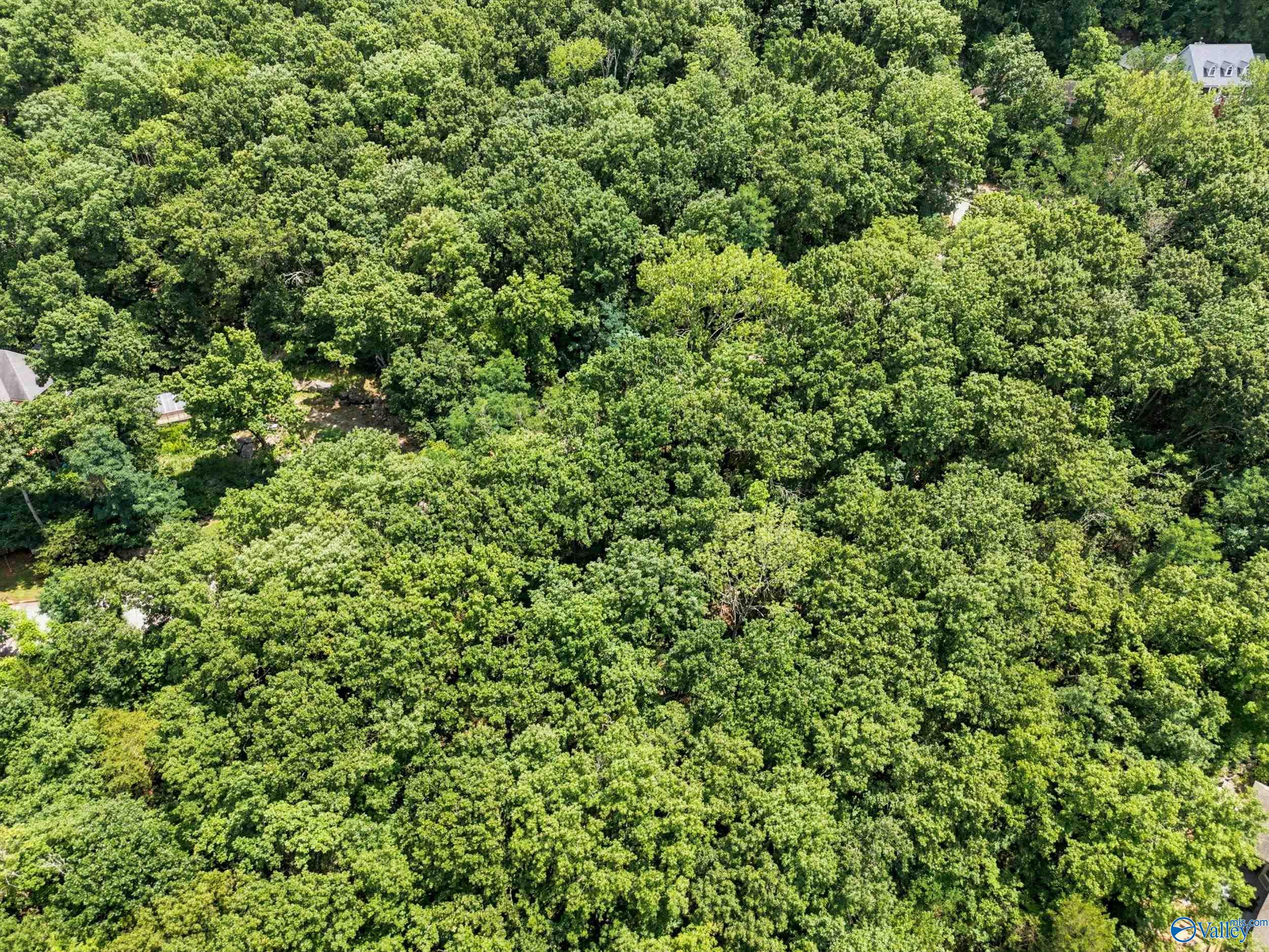 15010 Greentree Trail SE