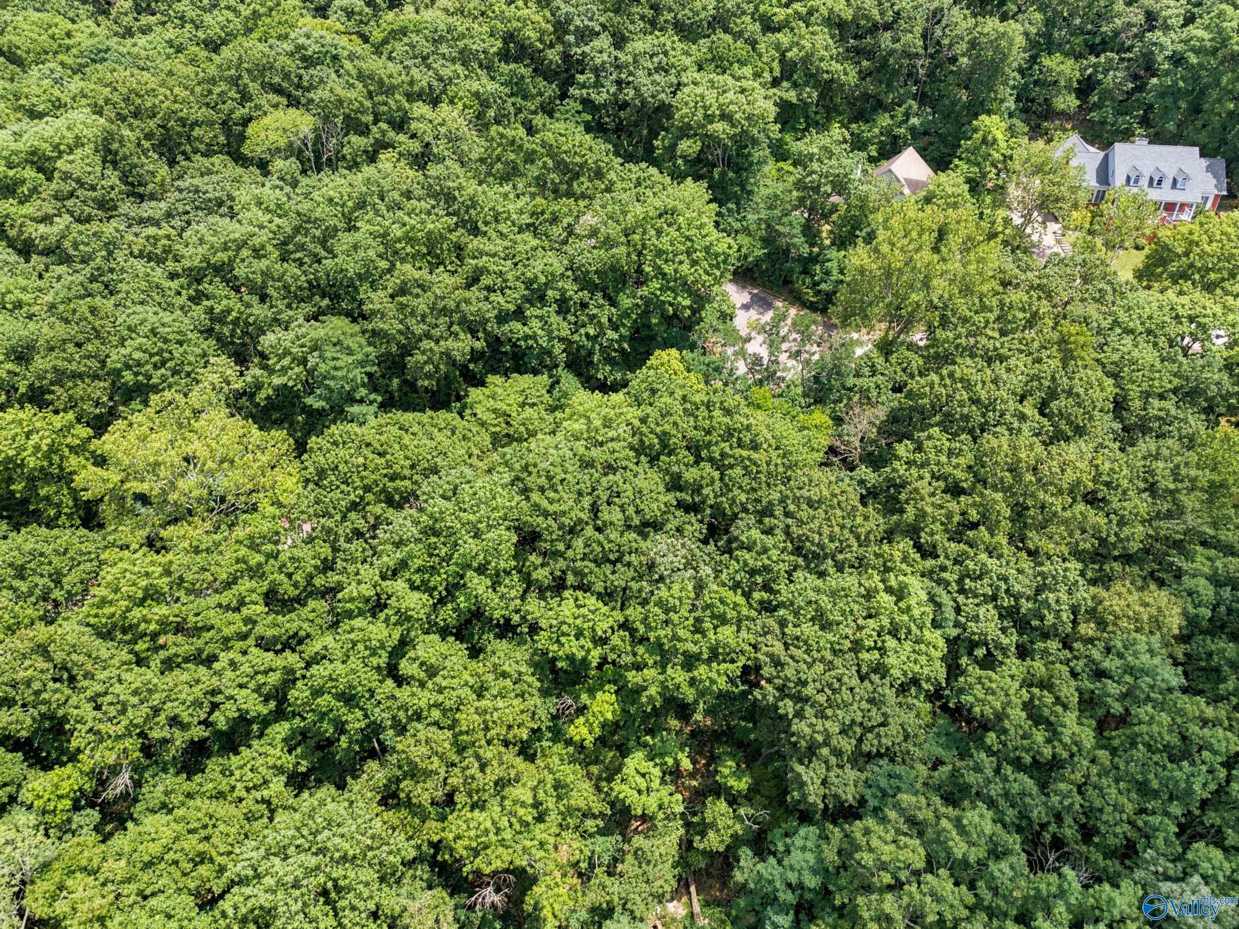 15010 Greentree Trail SE